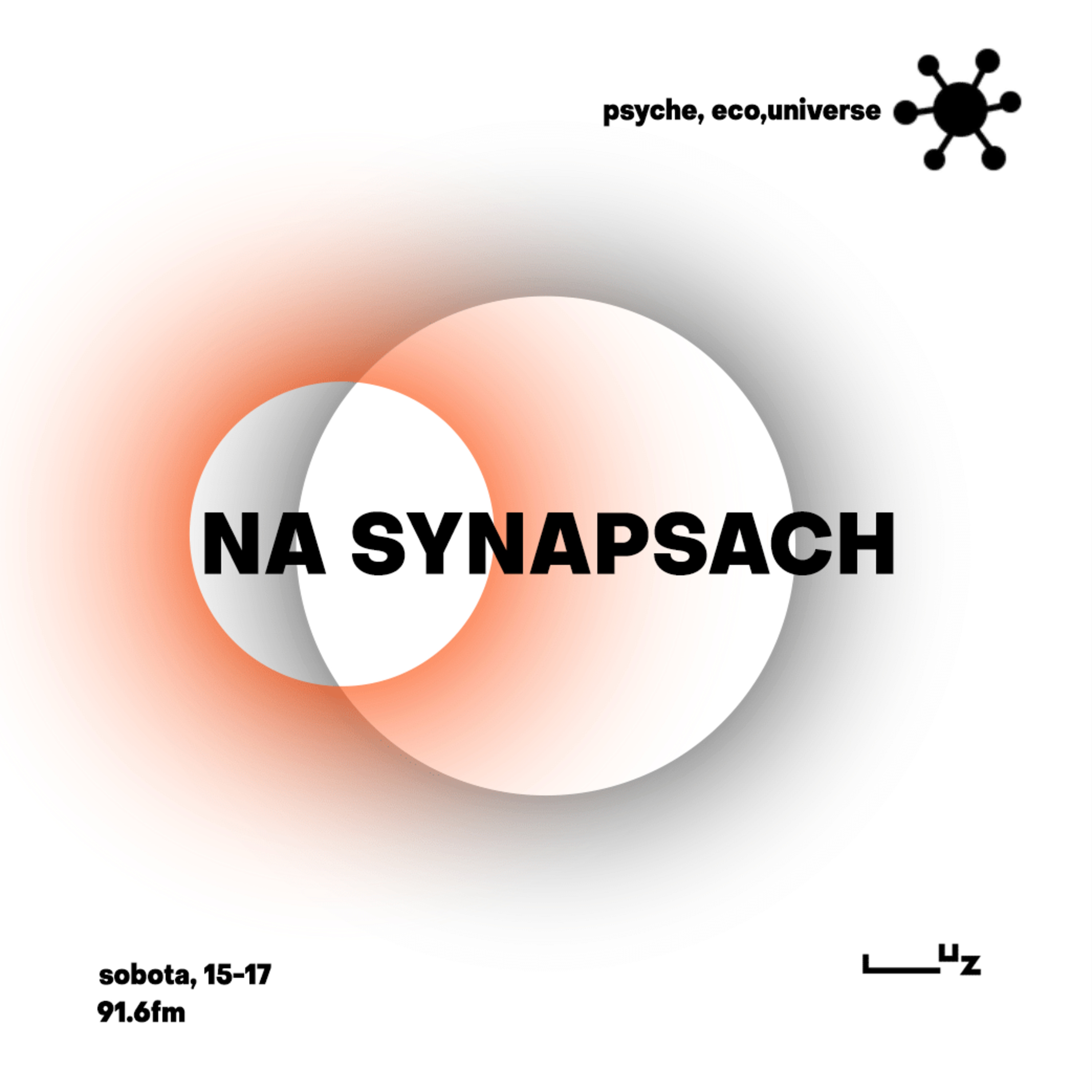 Na Synapsach