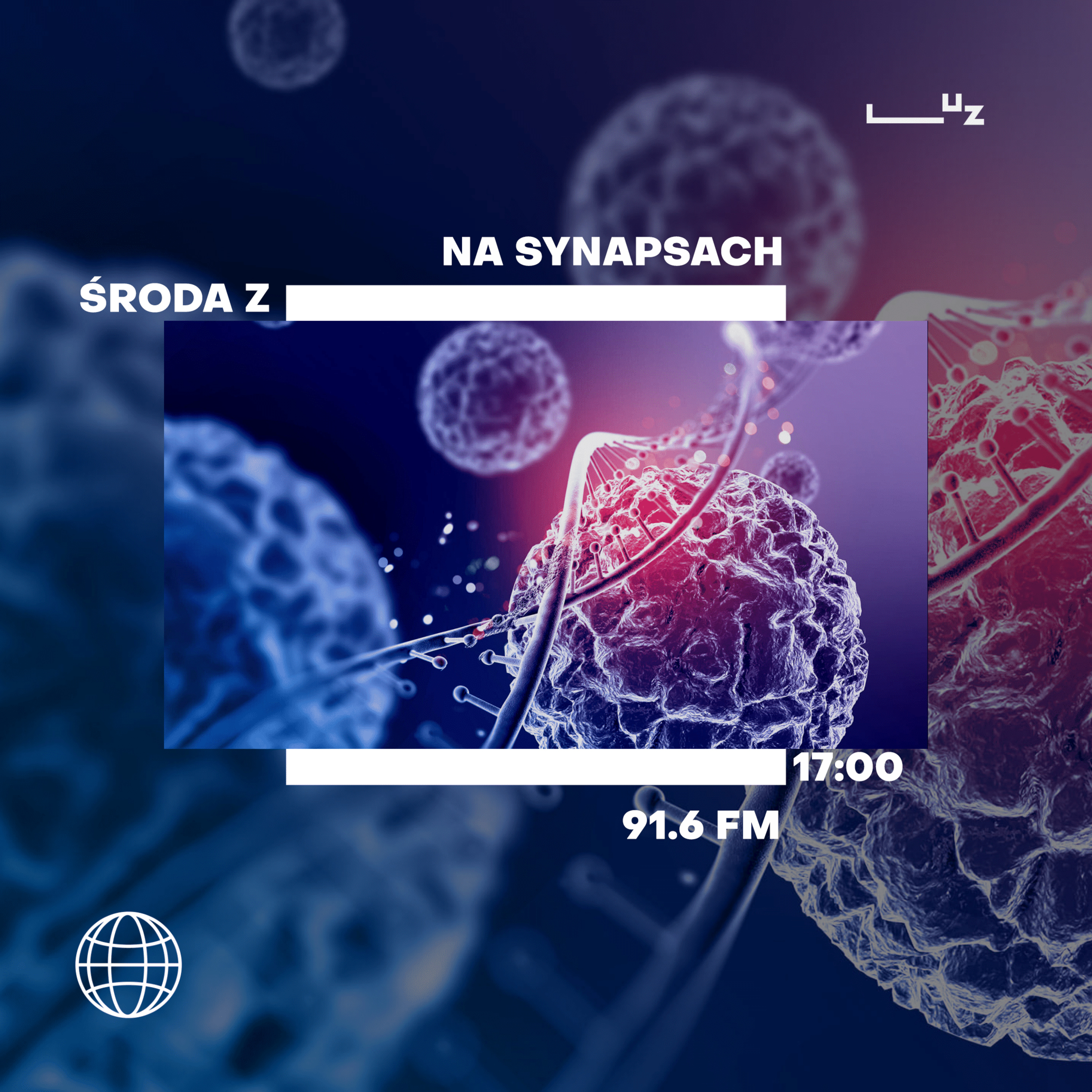 Na Synapsach