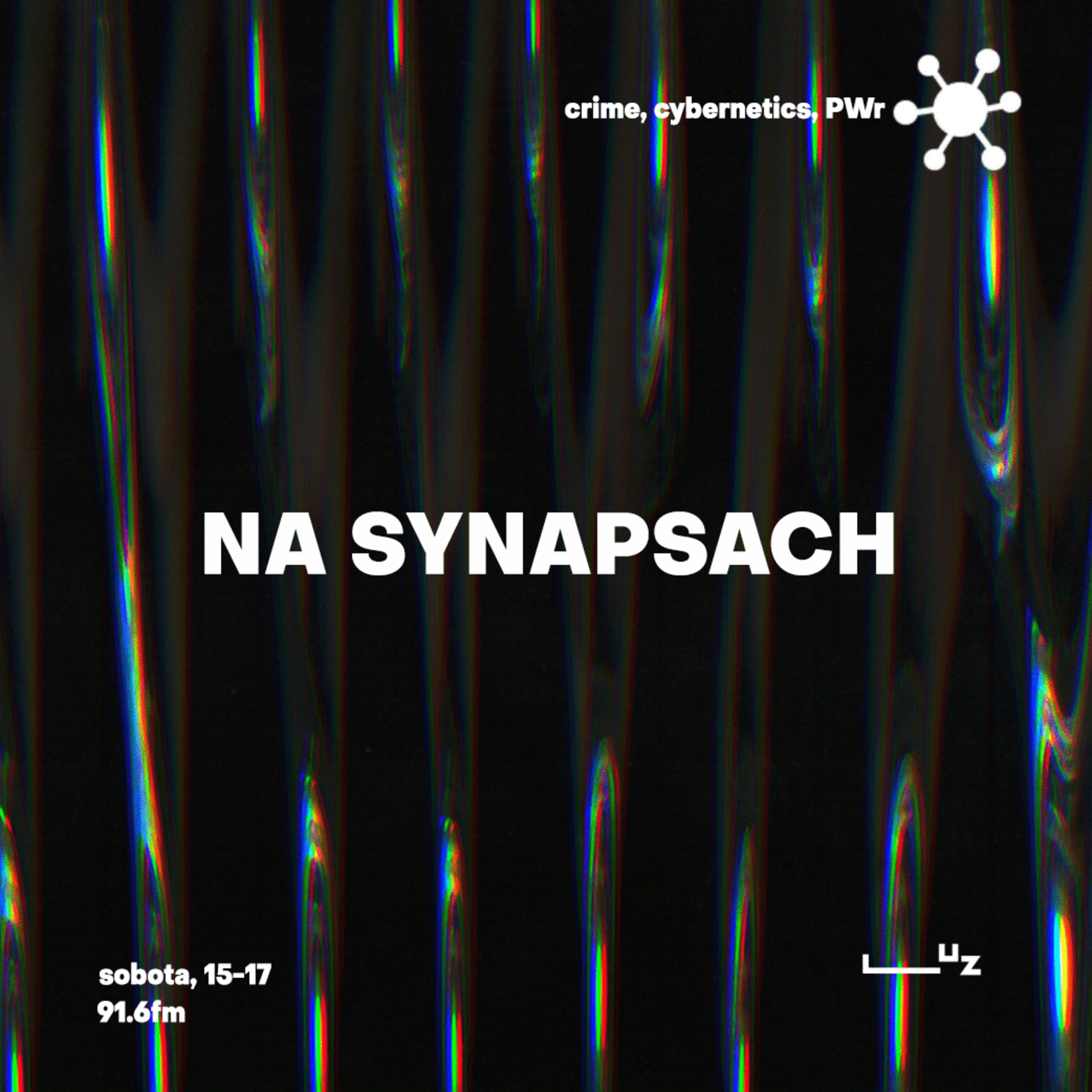 Na Synapsach