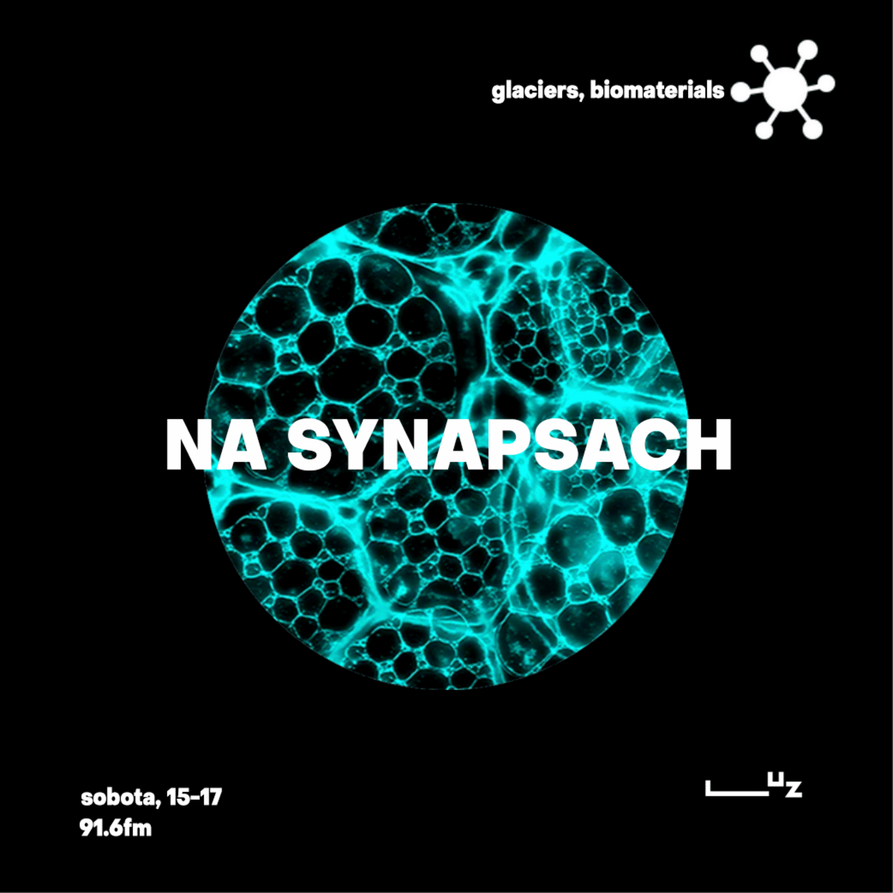 Na Synapsach