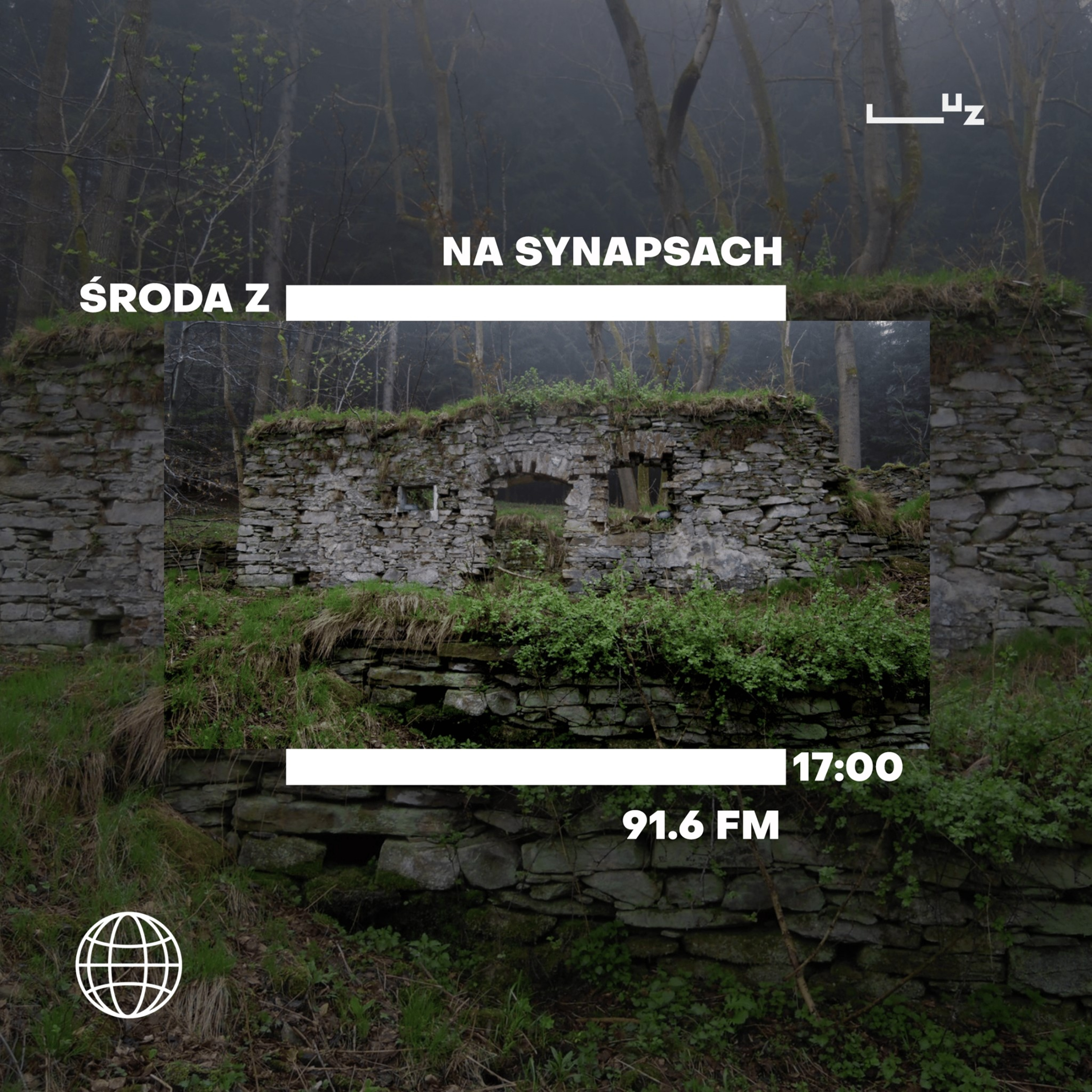 Na Synapsach