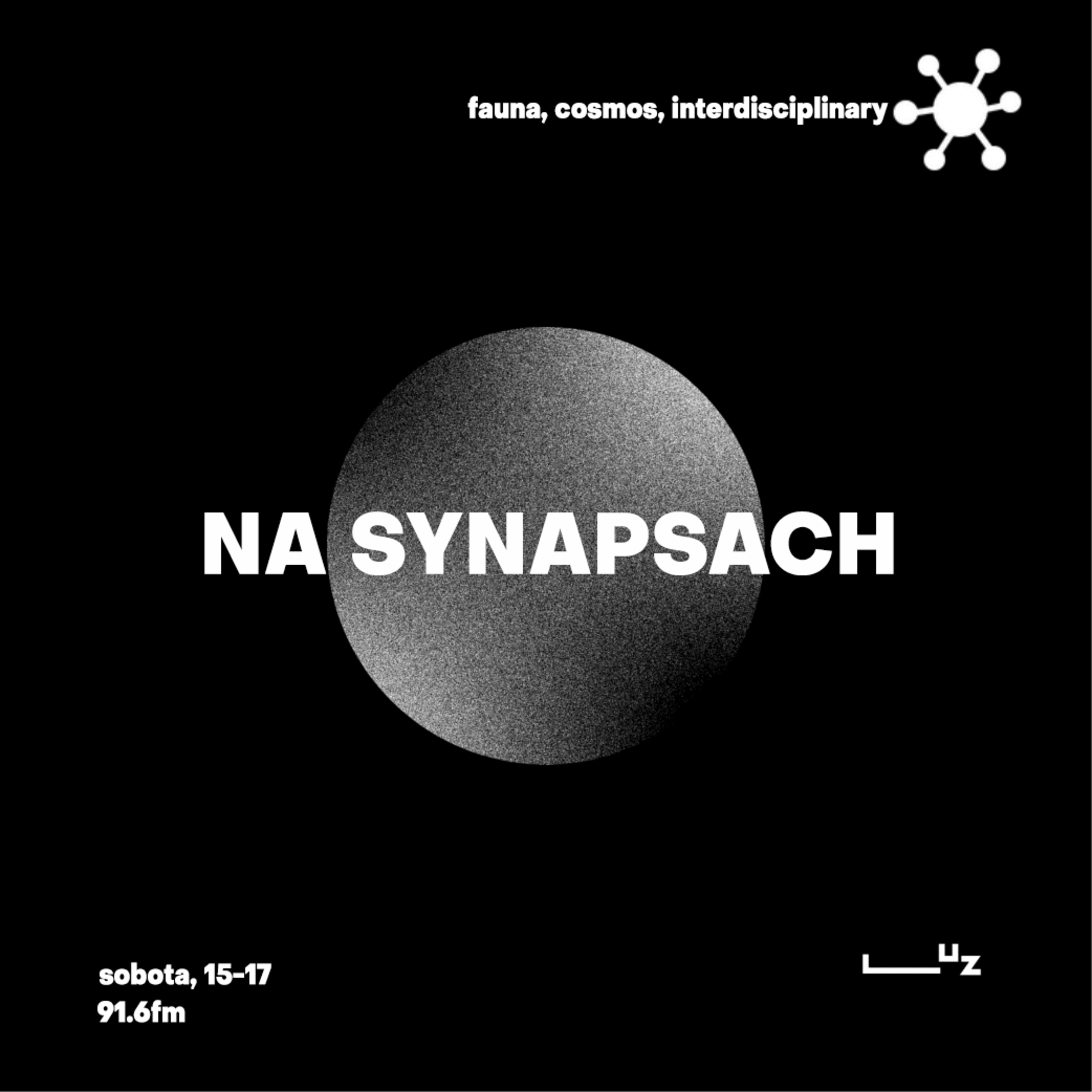 Na Synapsach