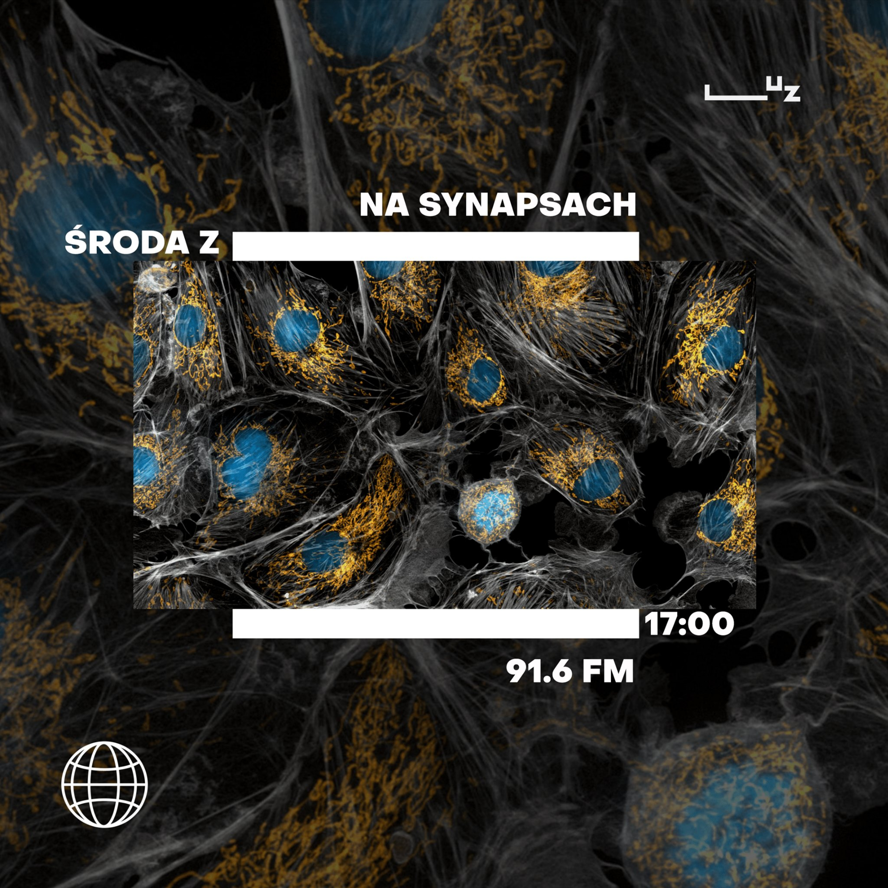 Na Synapsach