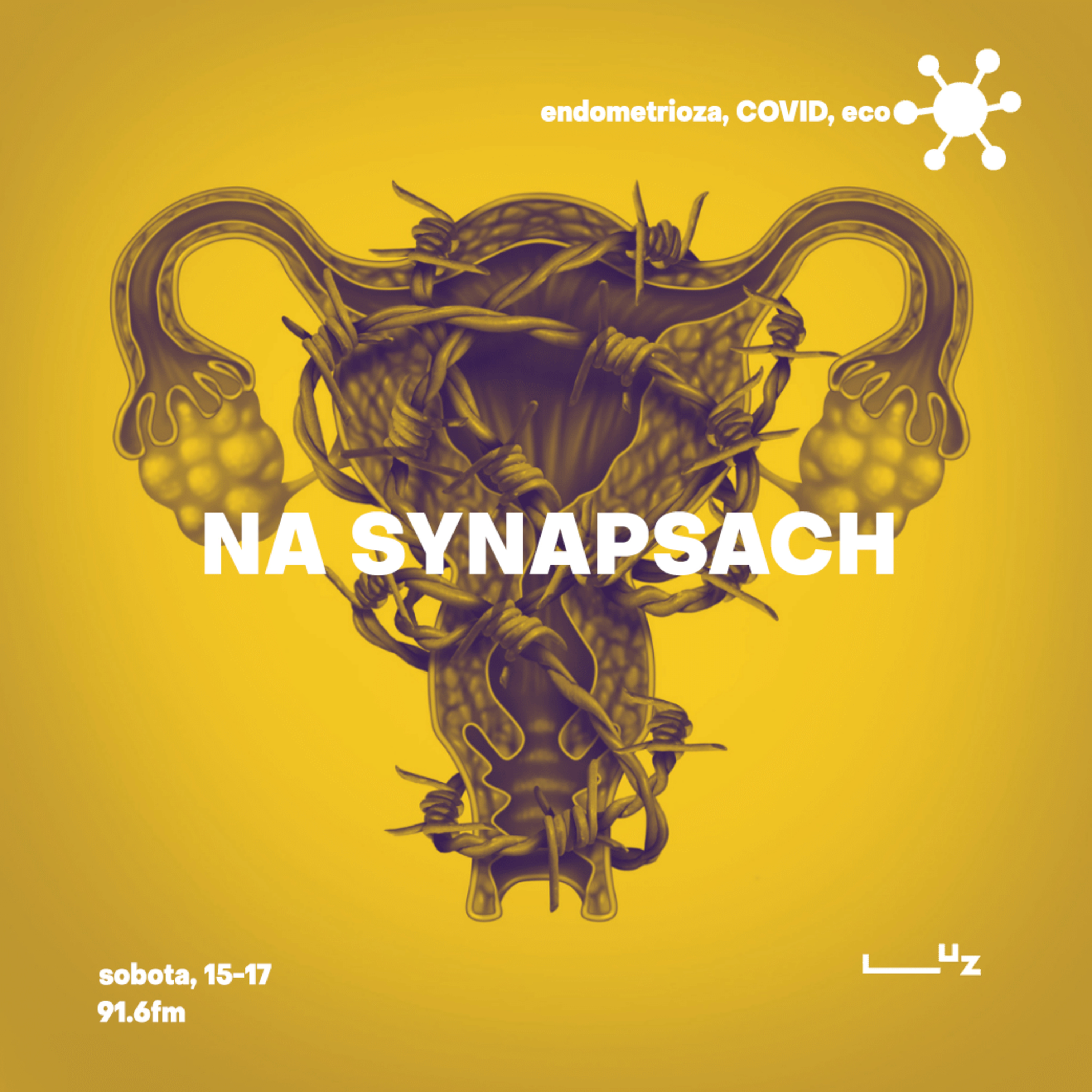 Na Synapsach