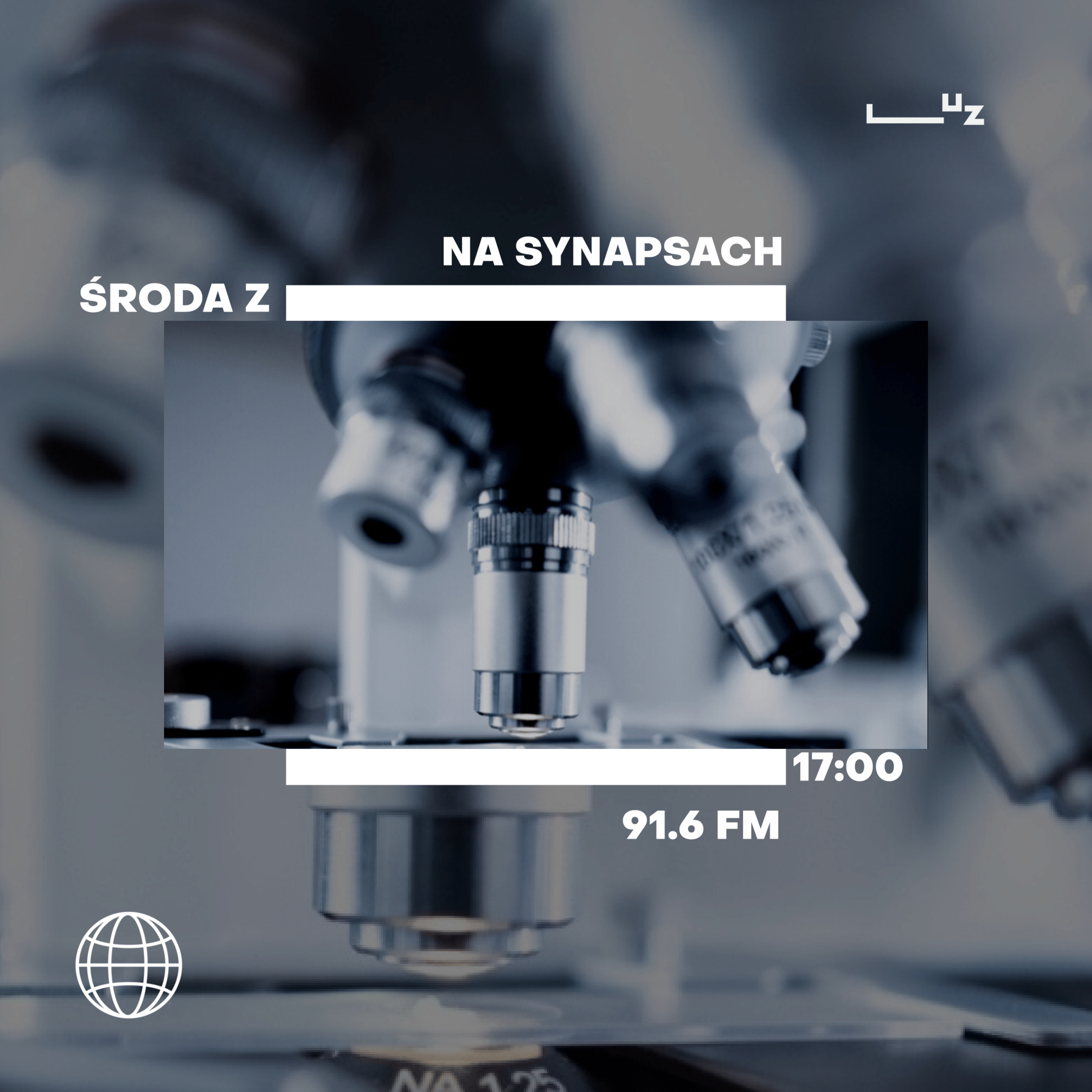 Na Synapsach