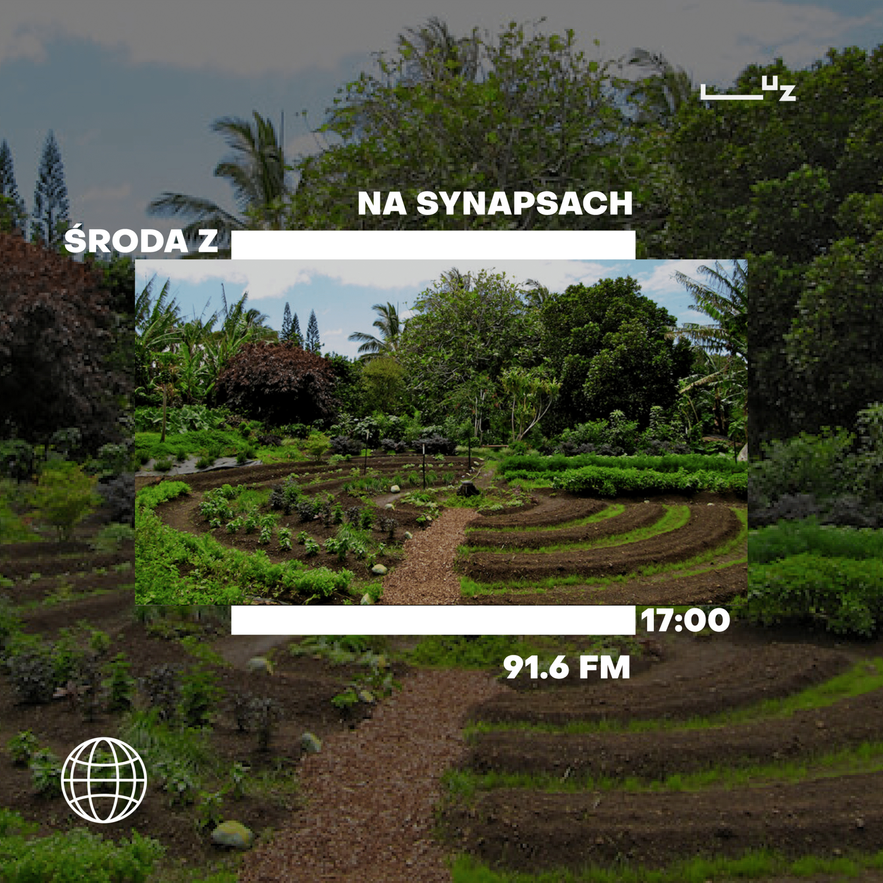 Na Synapsach