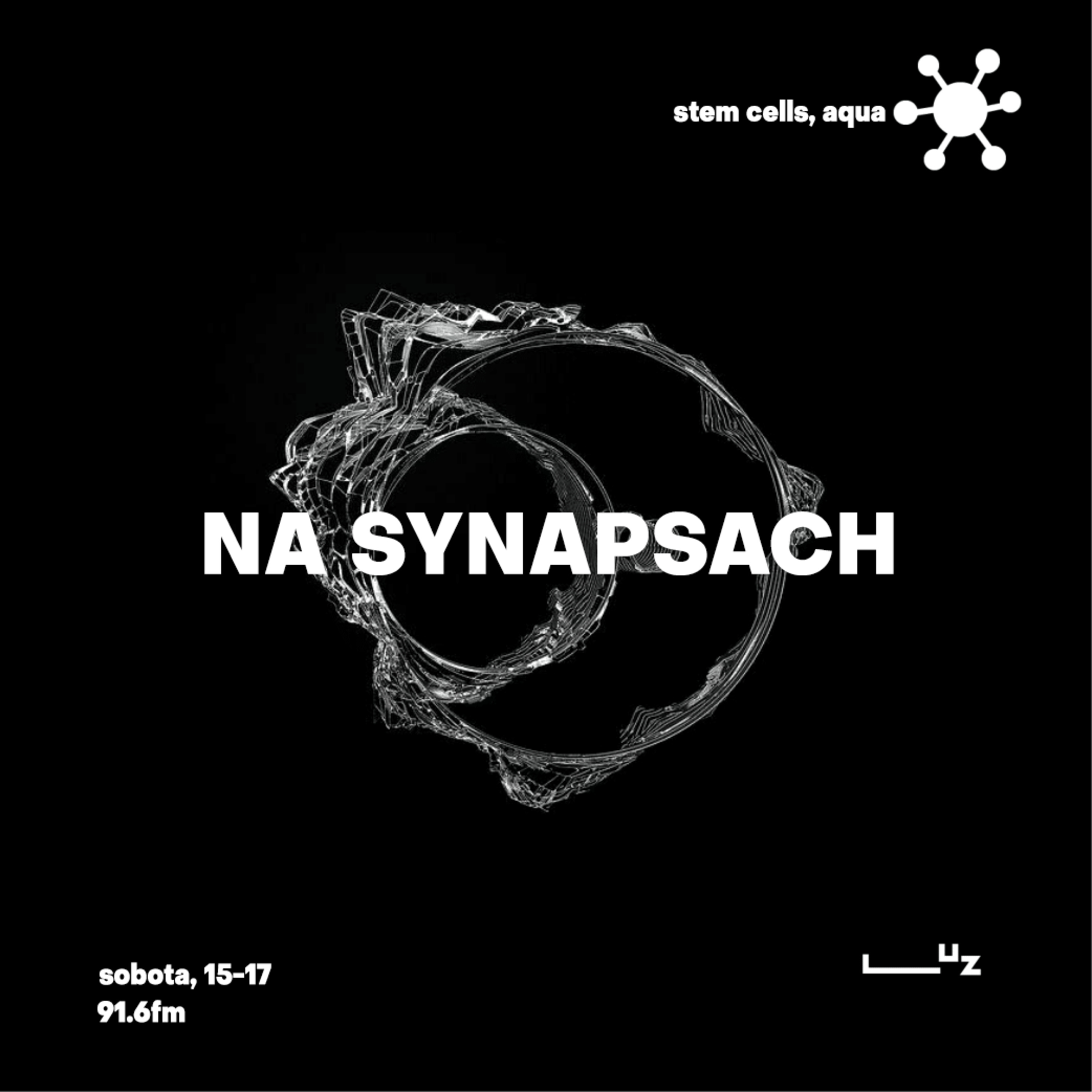 Na Synapsach
