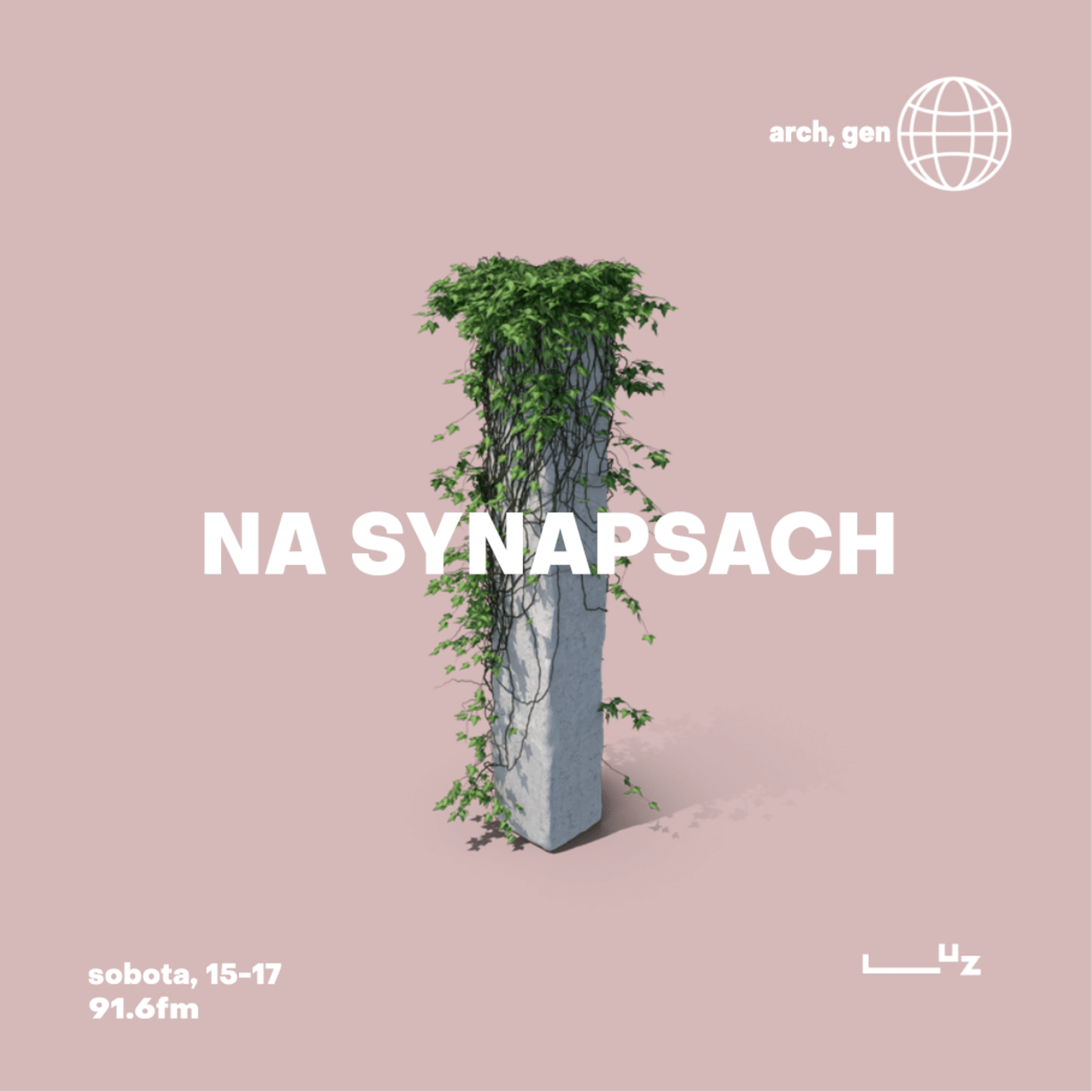 Na Synapsach