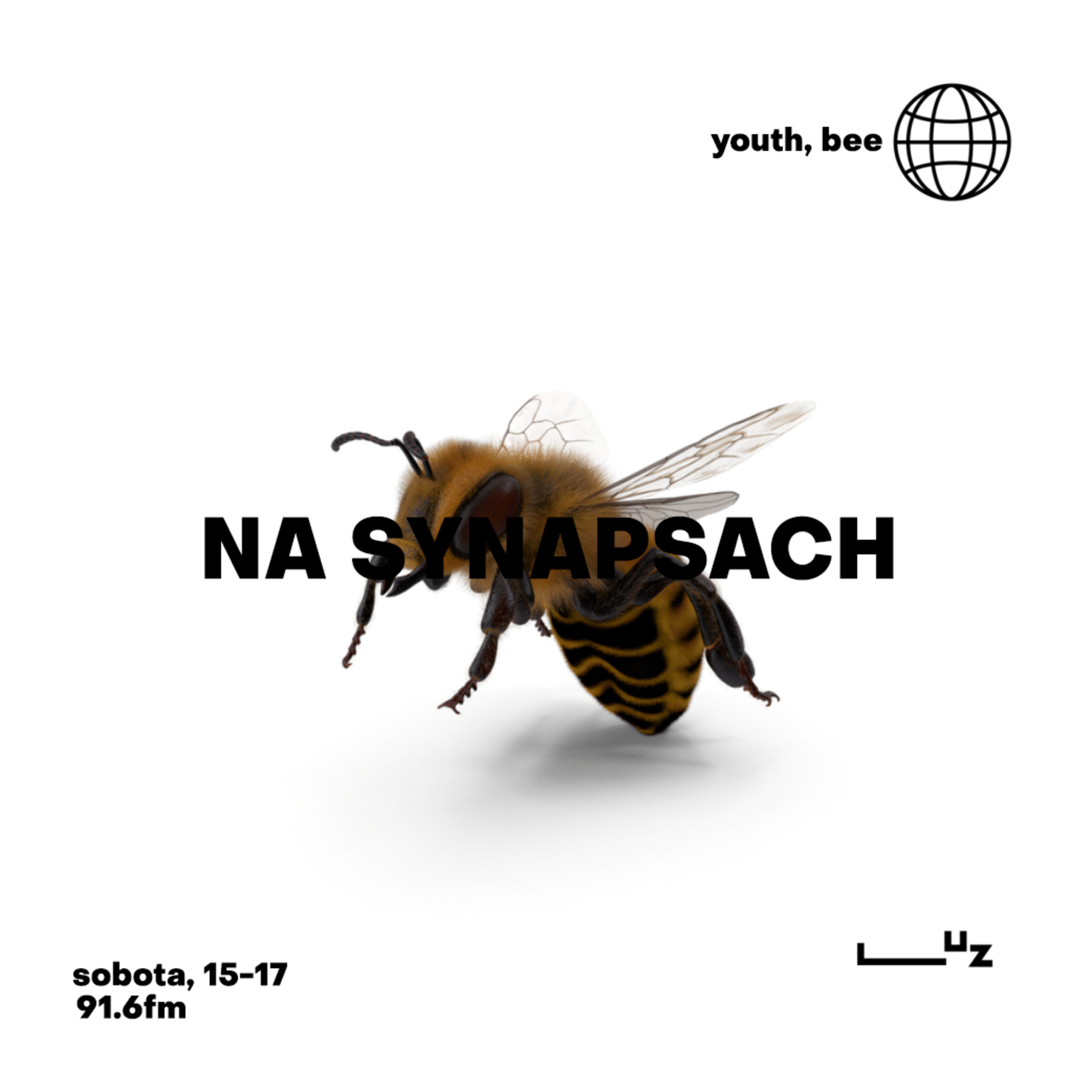 Na Synapsach