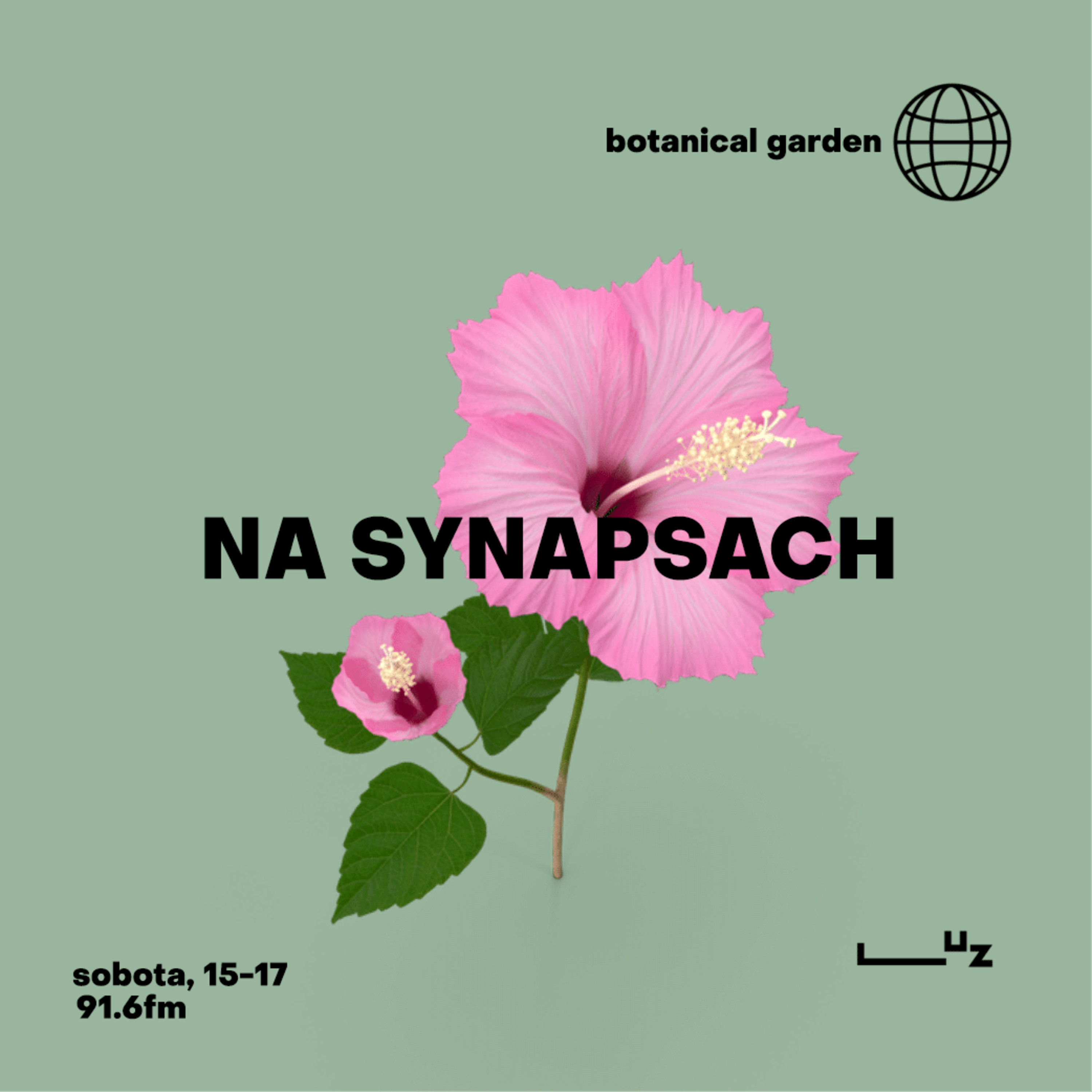 Na Synapsach