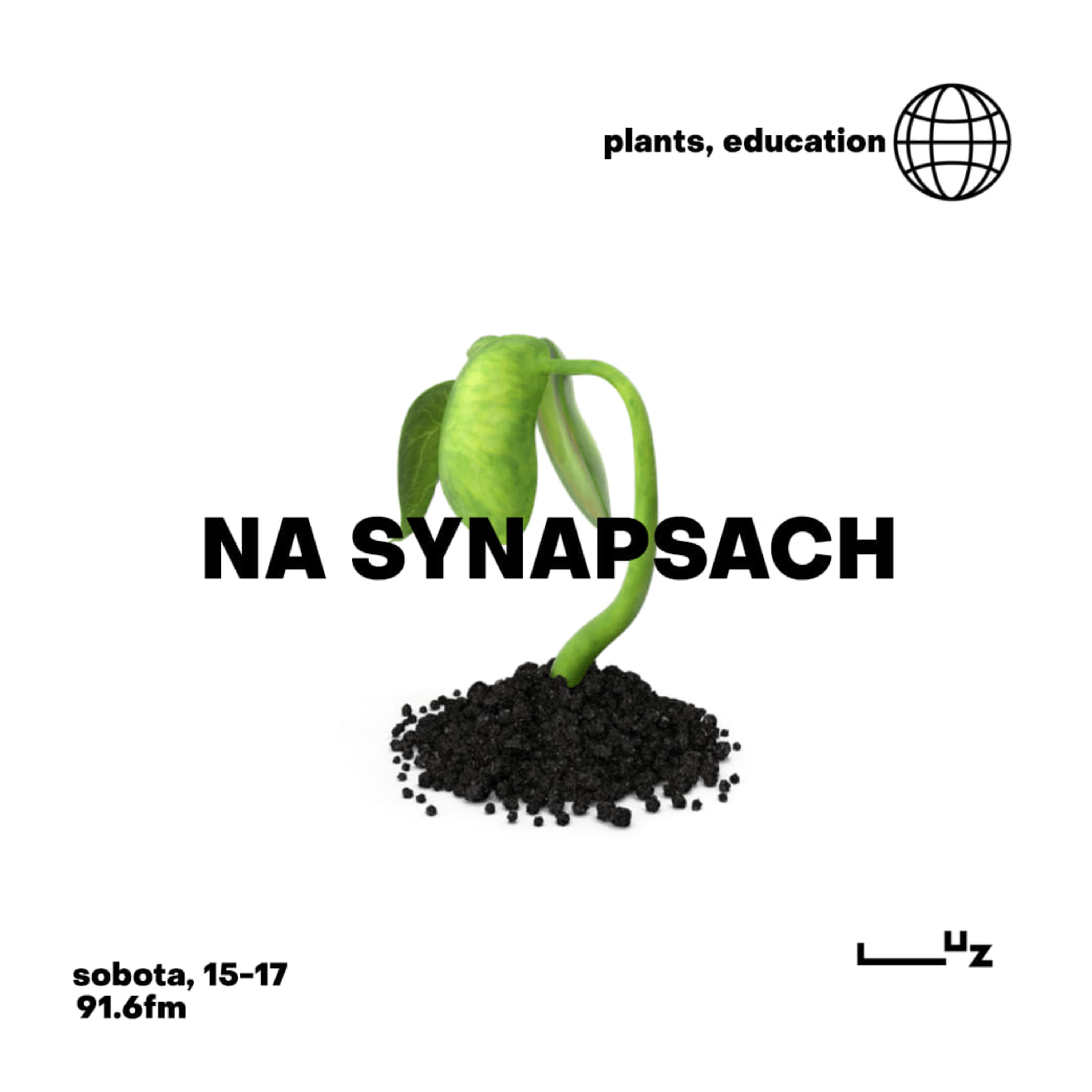 Na Synapsach