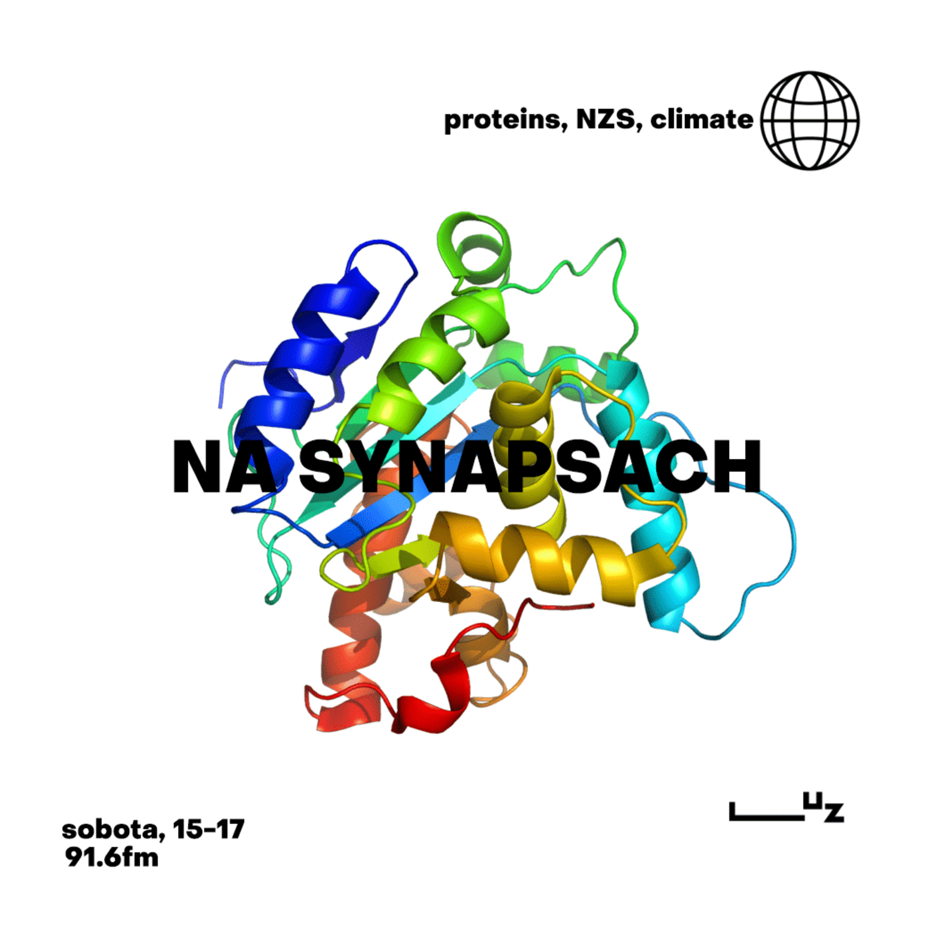 Na Synapsach