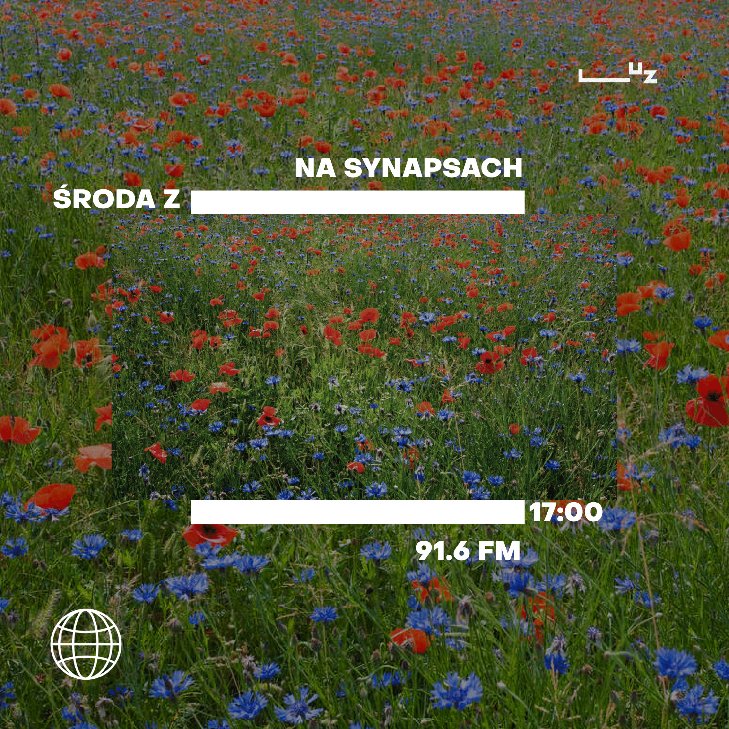 Na Synapsach