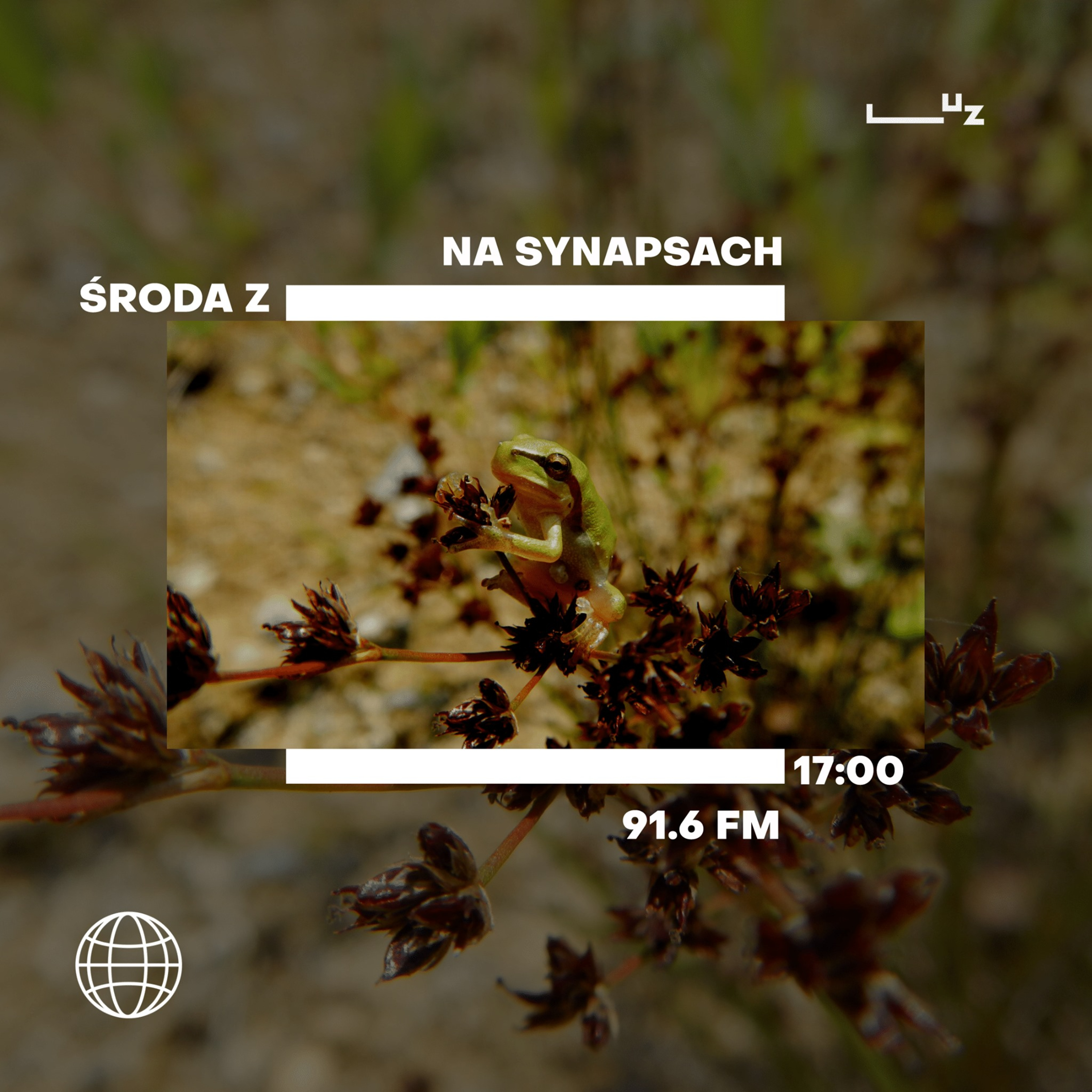 Na Synapsach