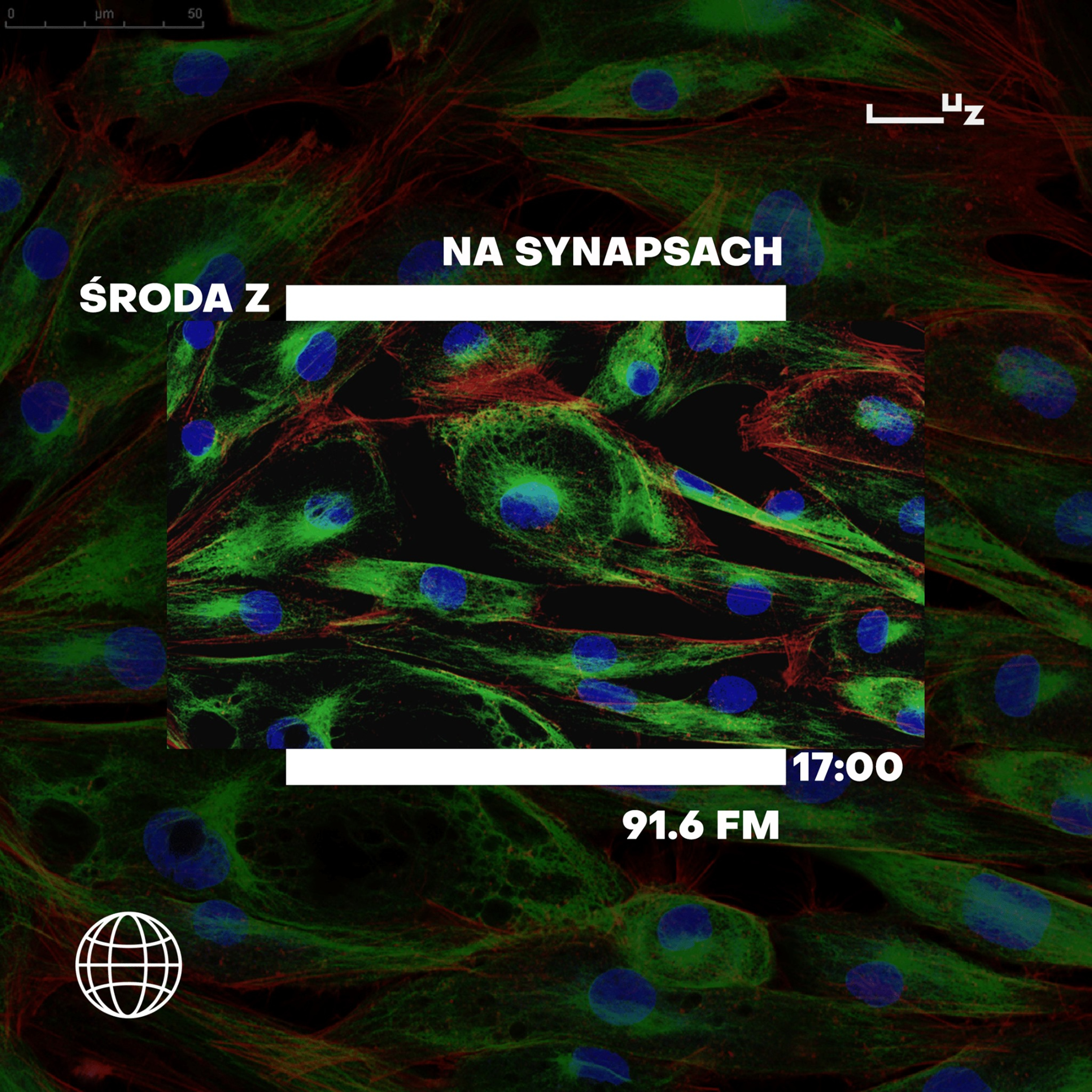 Na Synapsach