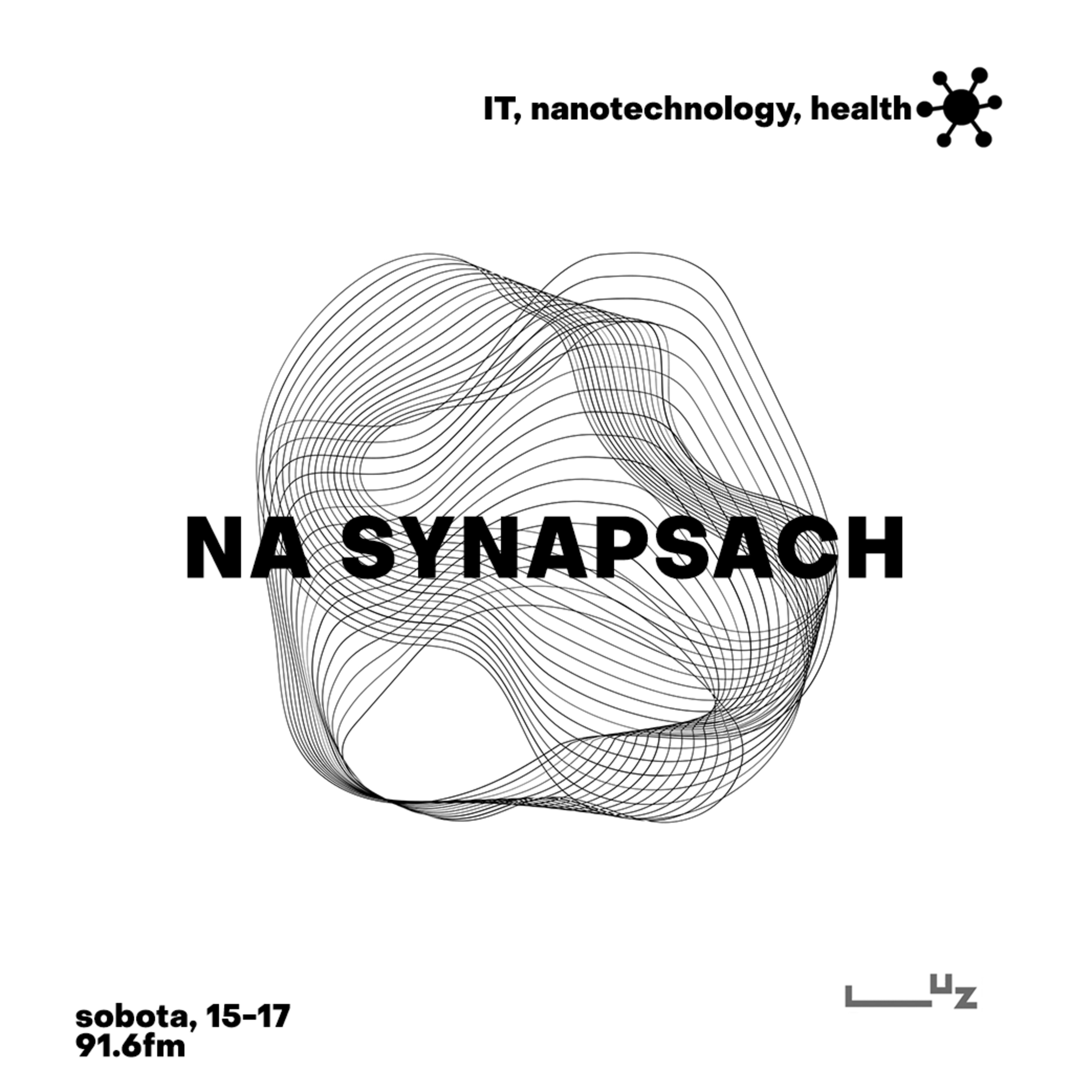 Na Synapsach