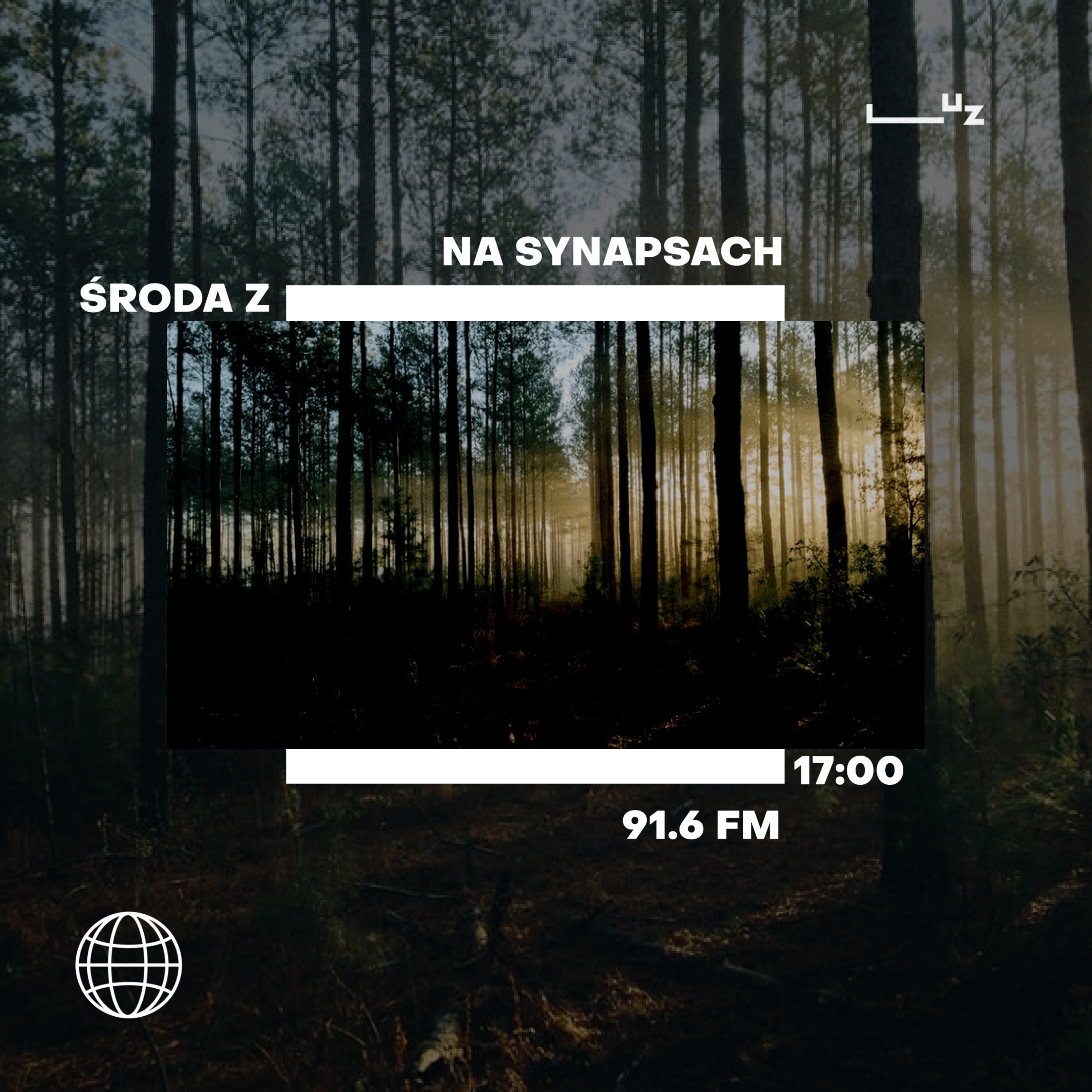 Na Synapsach