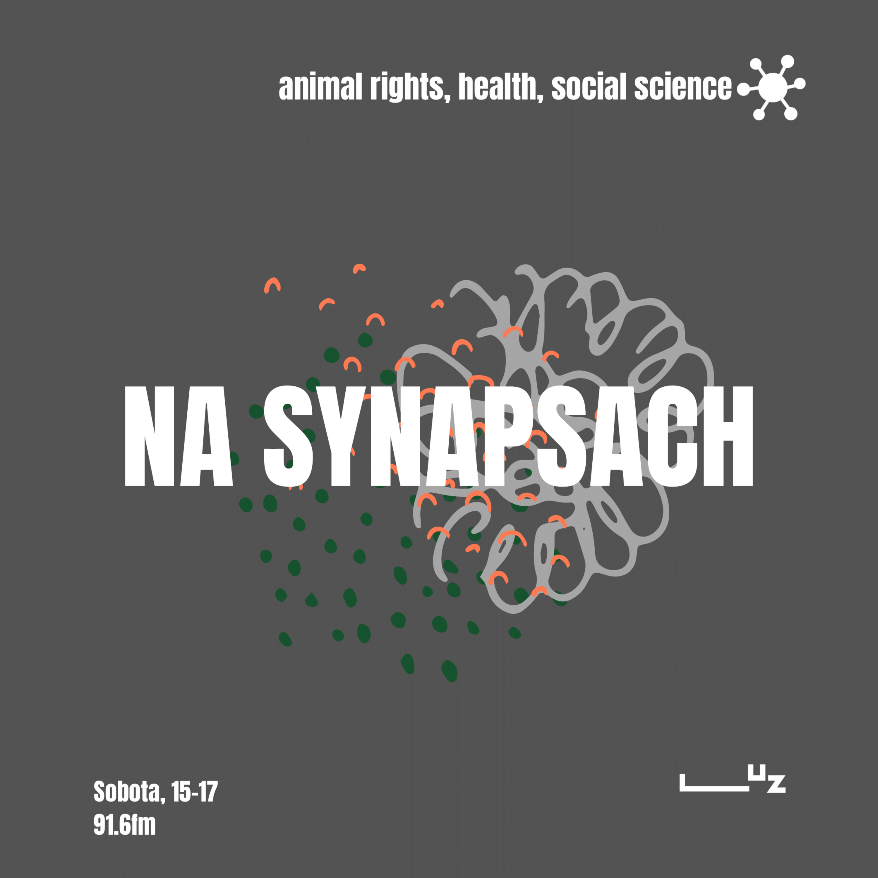 Na Synapsach