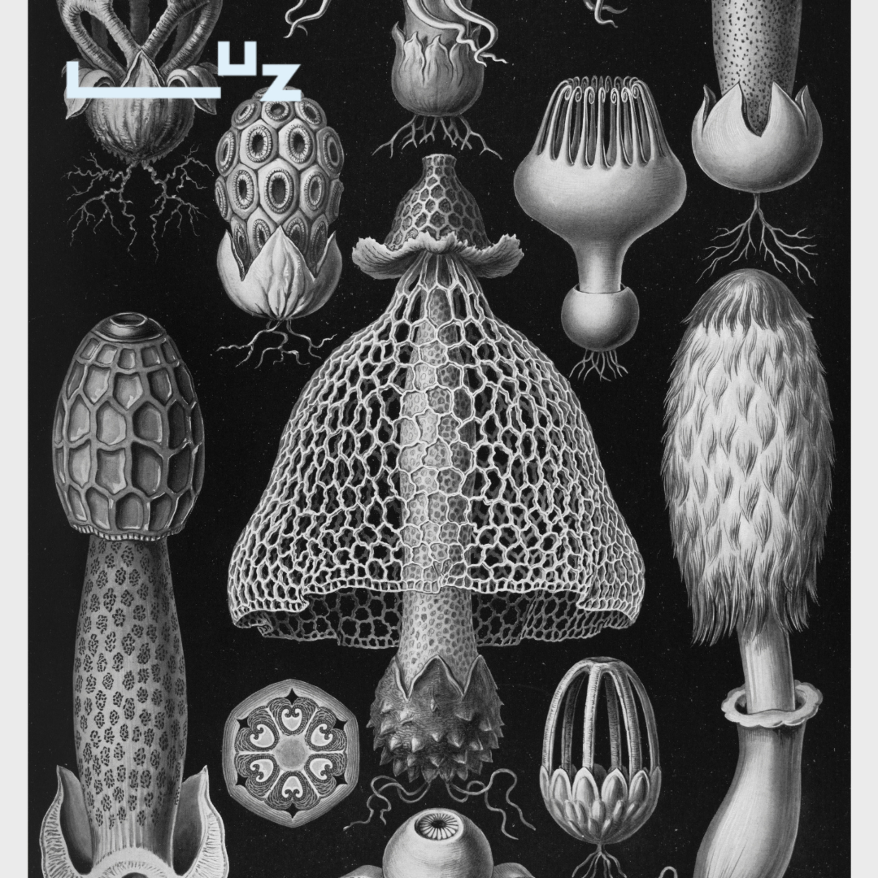 #bio: grzyby w kosmosie, czyli o załodze pierwszego polskiego bio-nanosatelity episode artwork