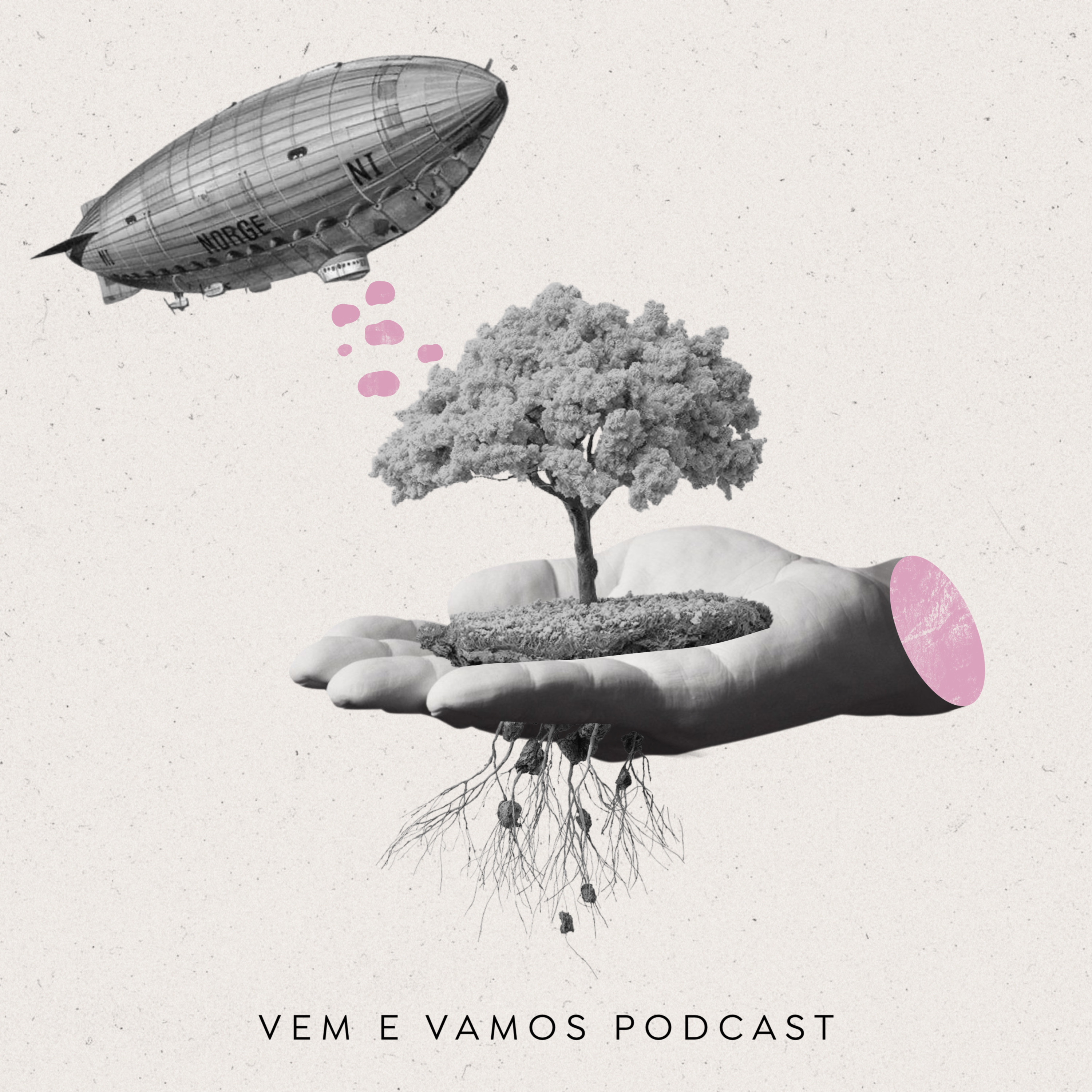 Vem e Vamos