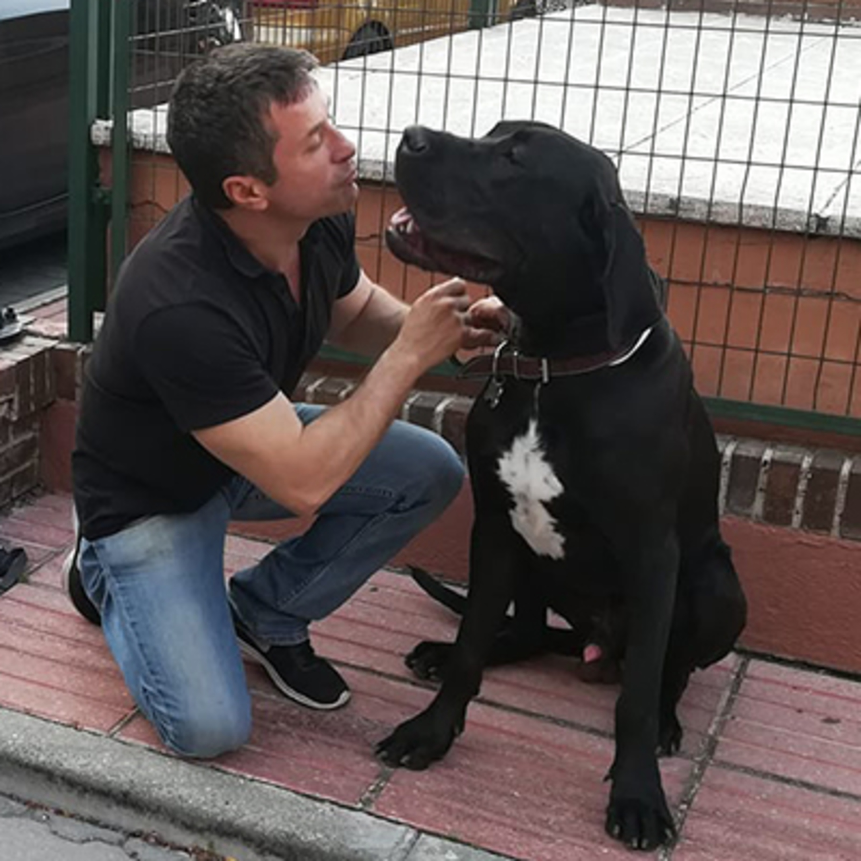 23-06-22 Luismi Sánchez - Experto en comportamiento canino