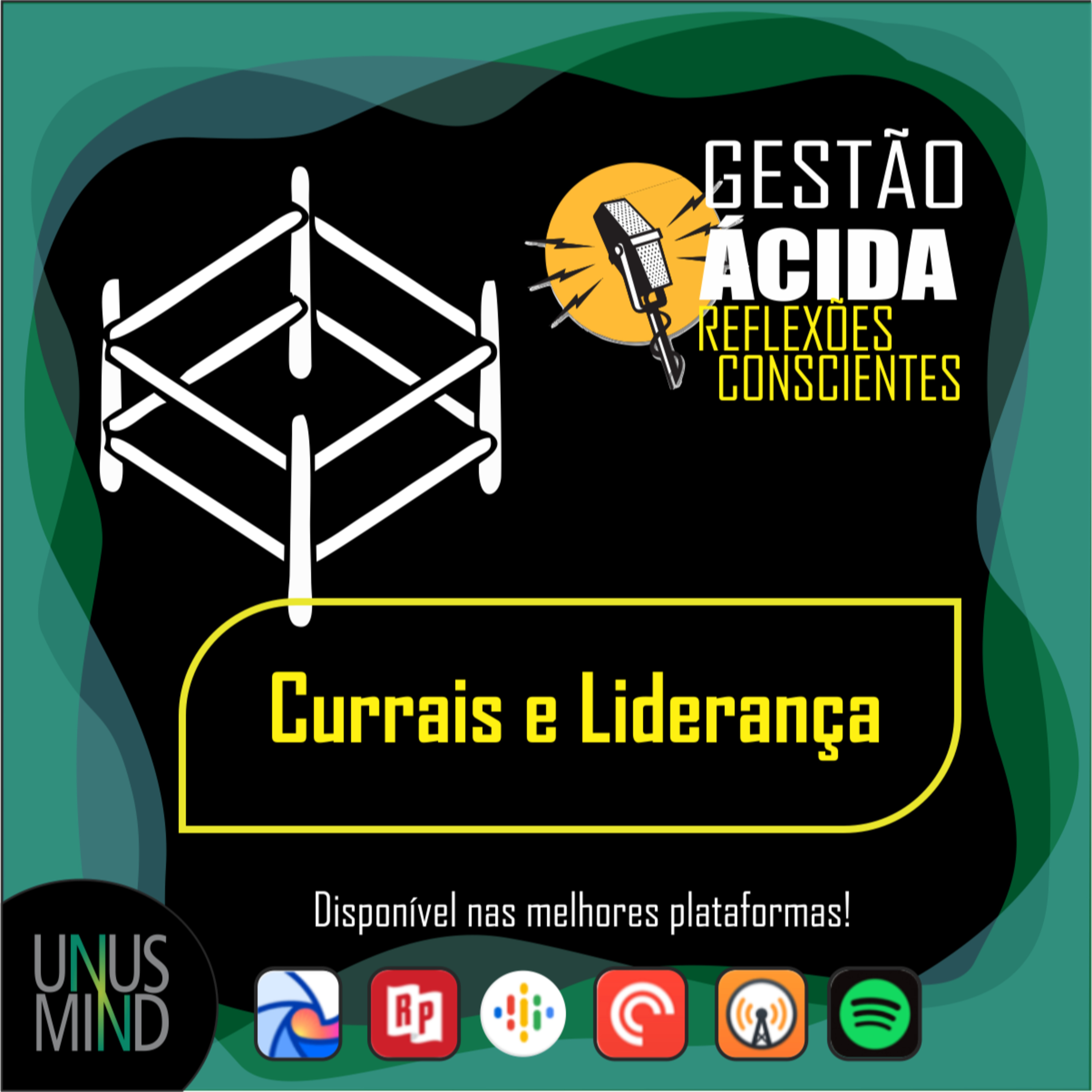 Gestão Ácida - Reflexões conscientes para a evolução profissional e organizacional