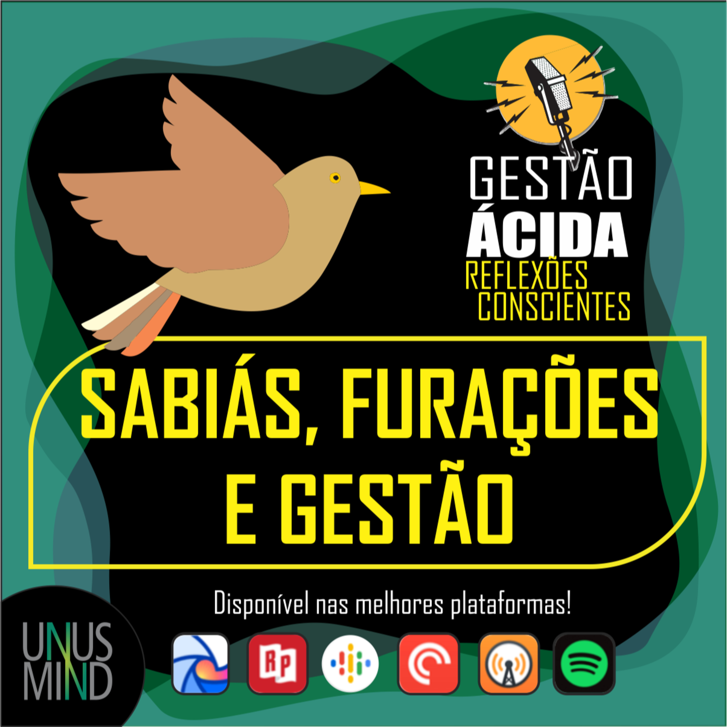 Gestão Ácida - Reflexões conscientes para a evolução profissional e organizacional