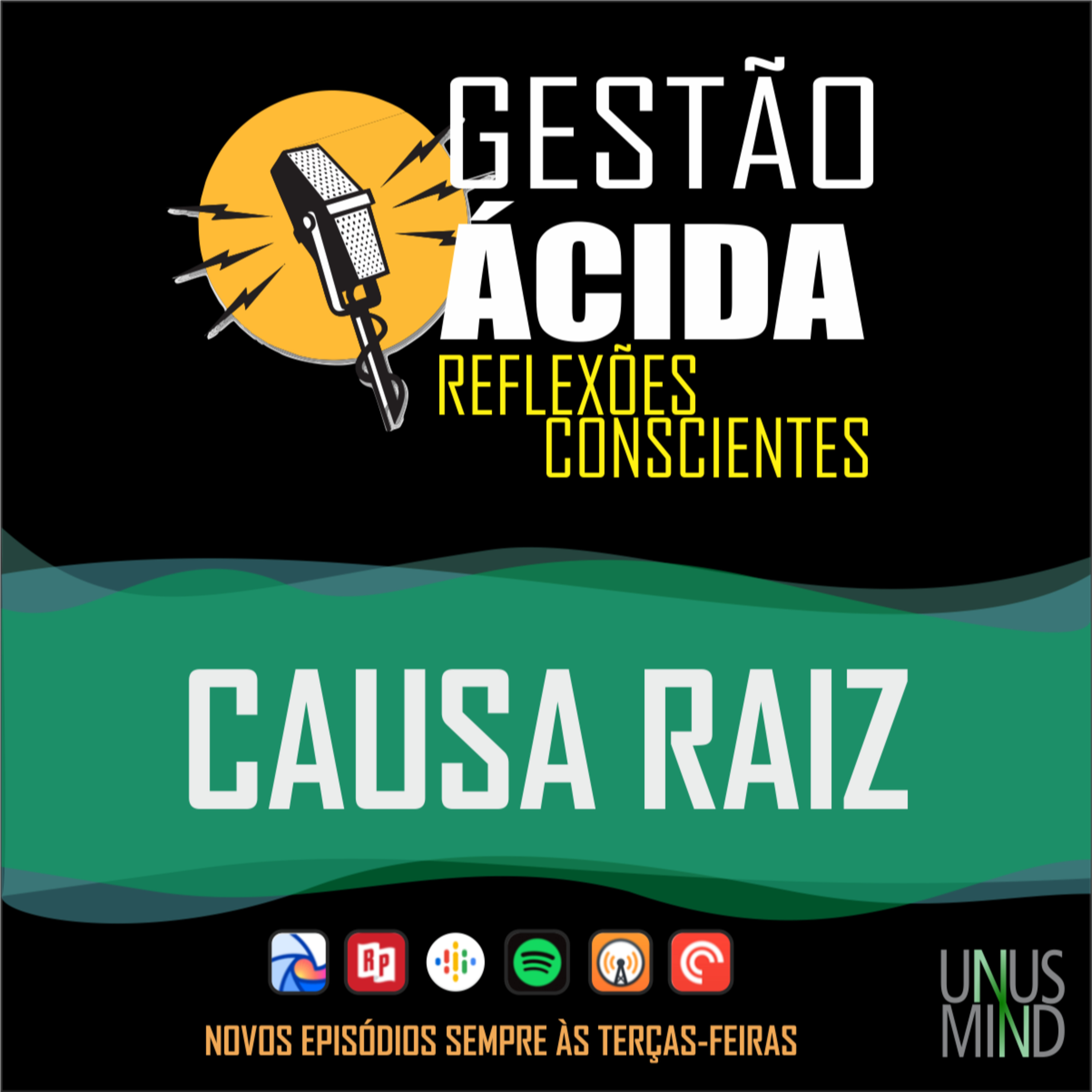 Gestão Ácida - Reflexões conscientes para a evolução profissional e organizacional
