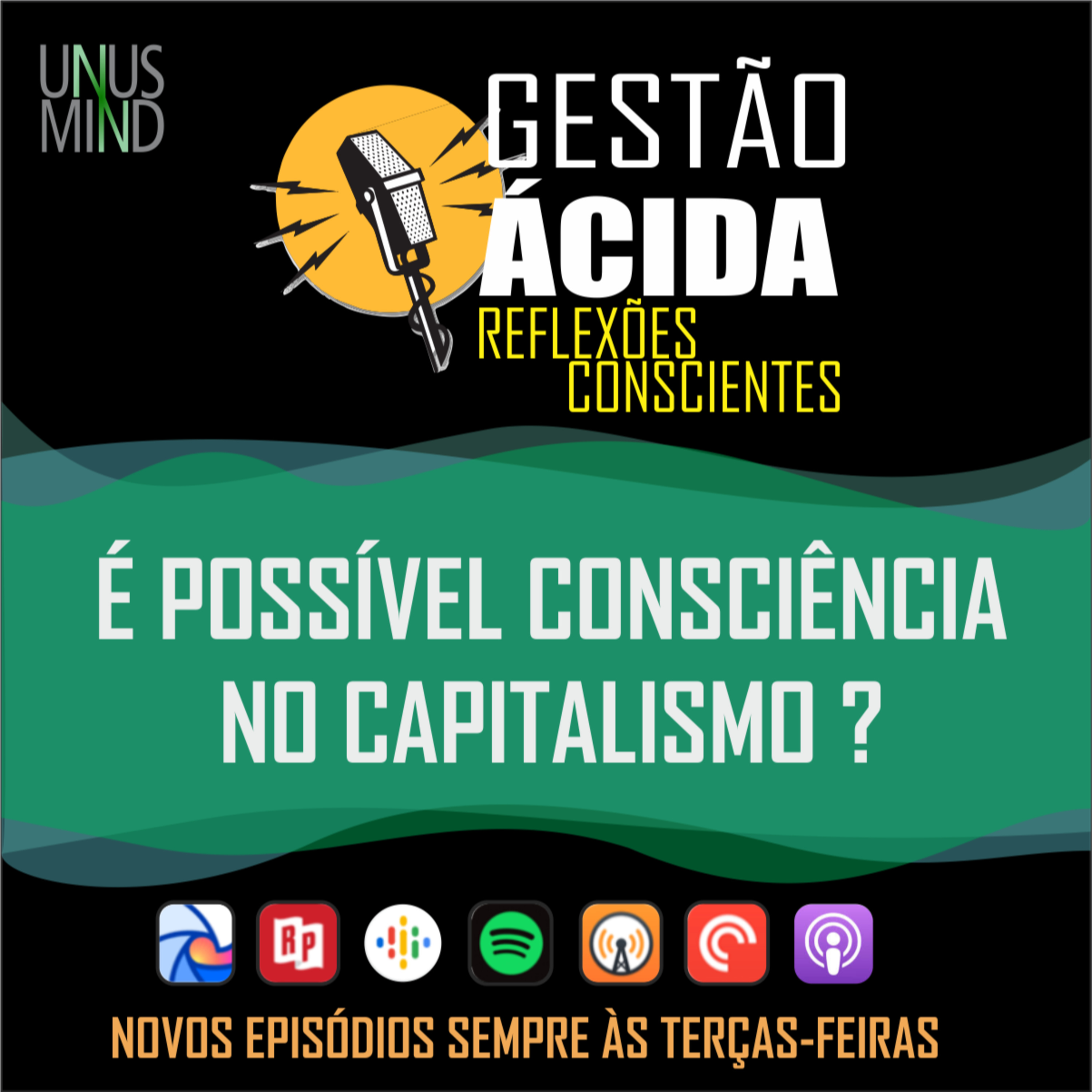 Gestão Ácida - Reflexões conscientes para a evolução profissional e organizacional