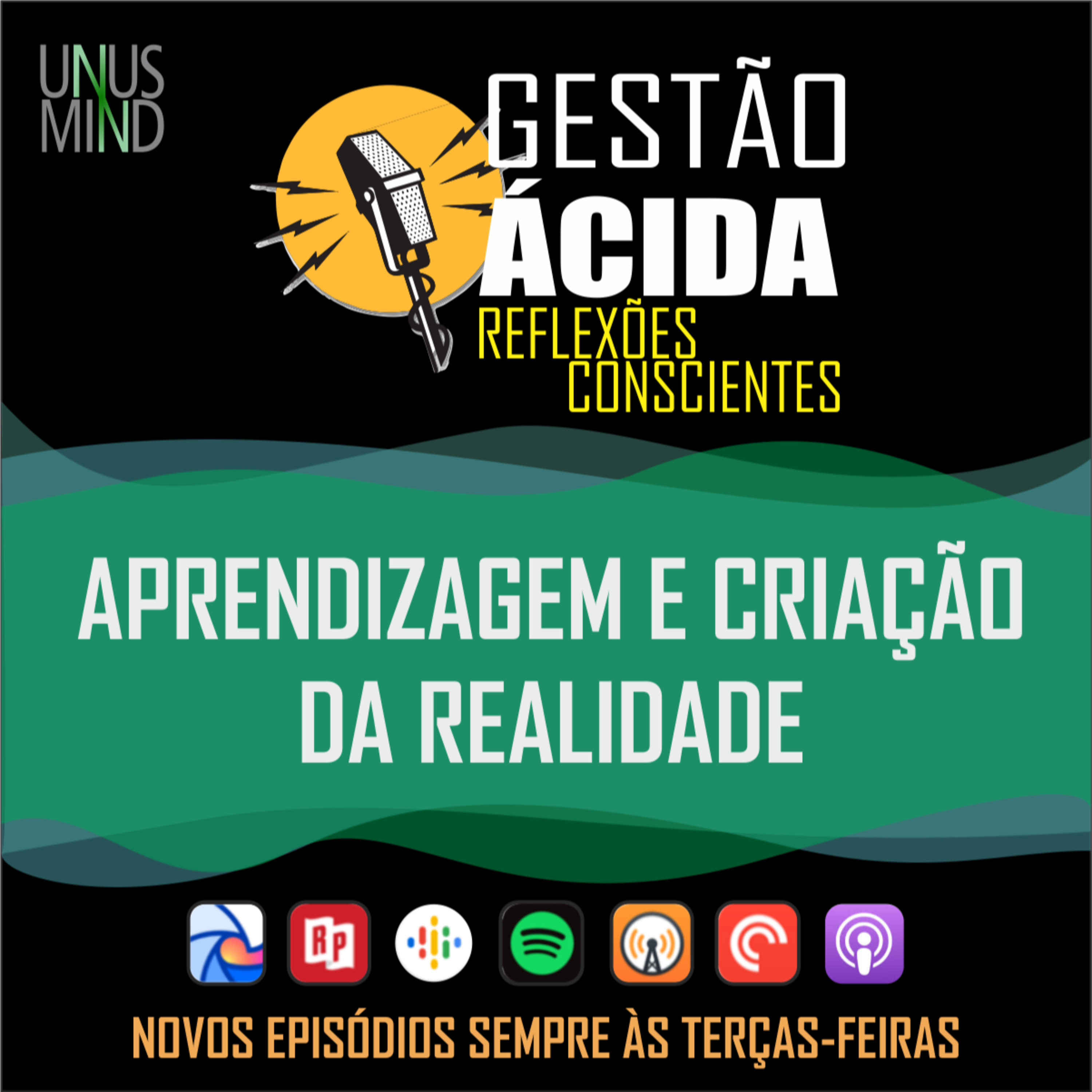 Gestão Ácida - Reflexões conscientes para a evolução profissional e organizacional