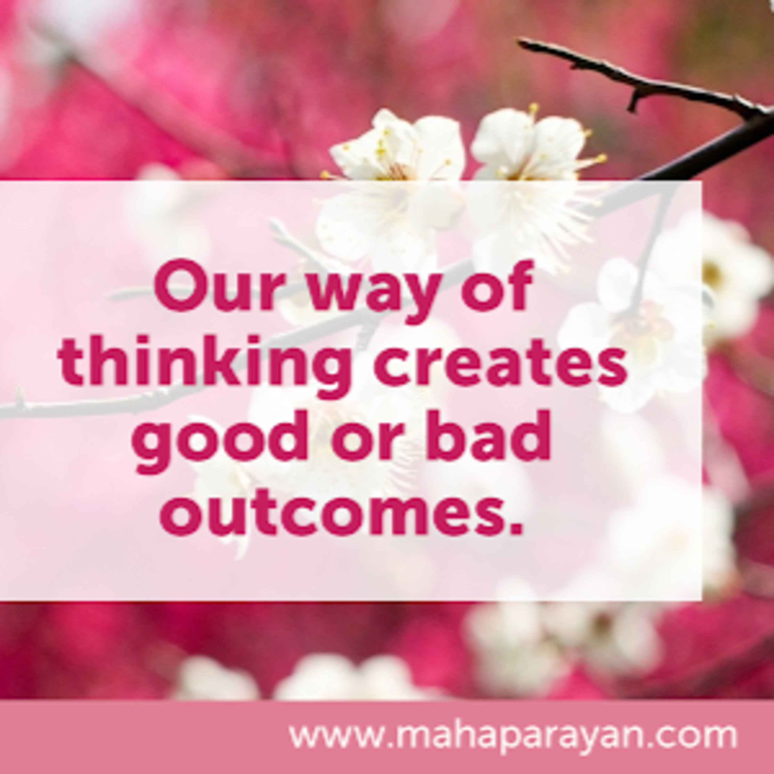 Saibaba Mahaparayan Miracles & Experiences