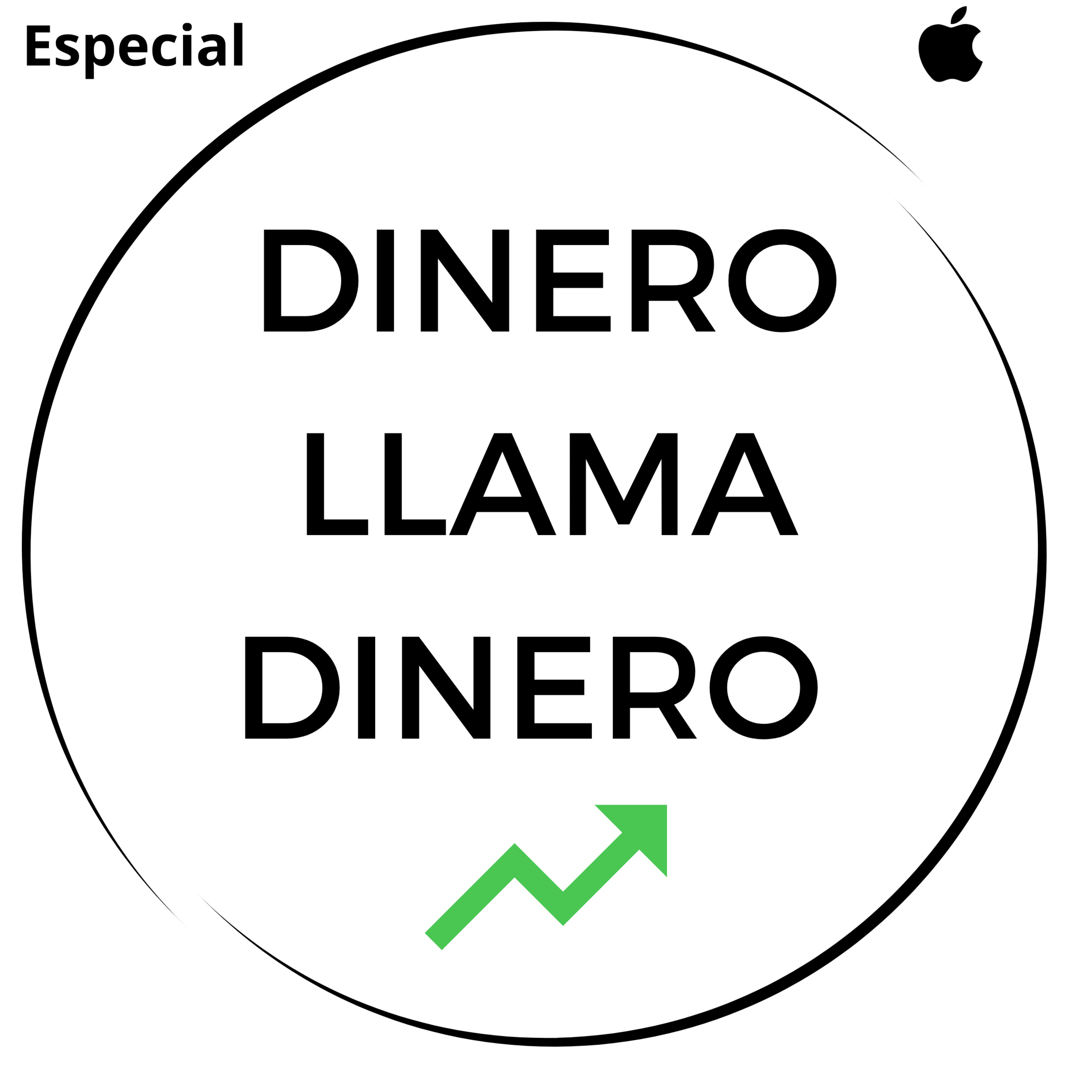 Dinero Llama Dinero