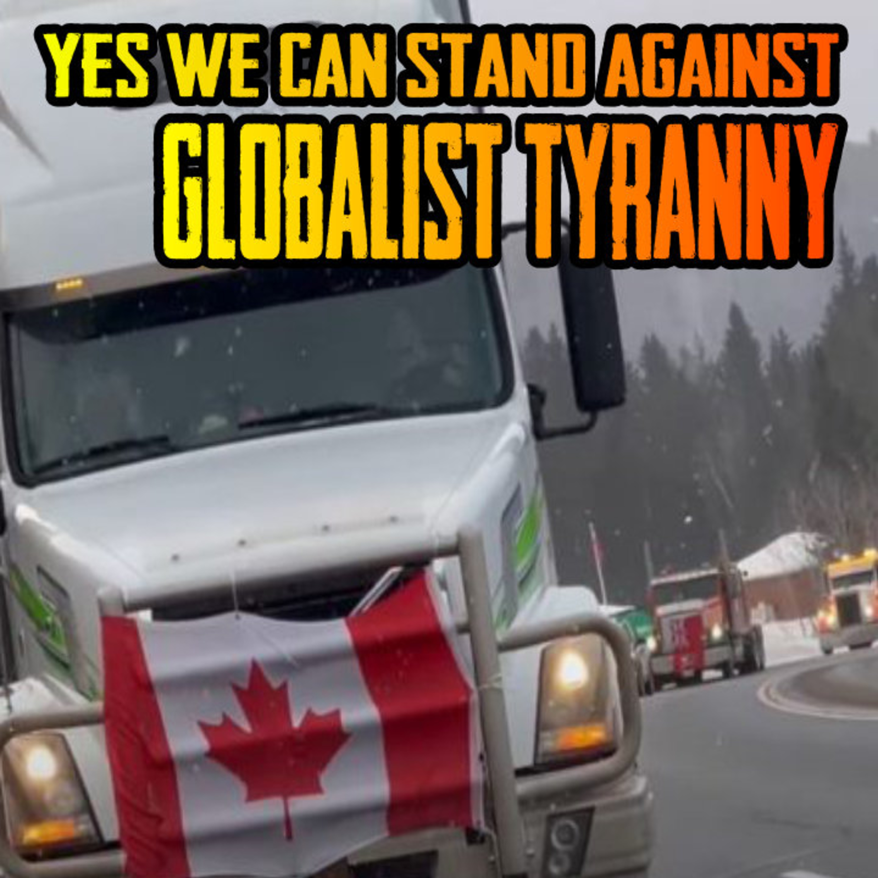 YES We CAN Stand Against Globalist Tyranny! episode artwork