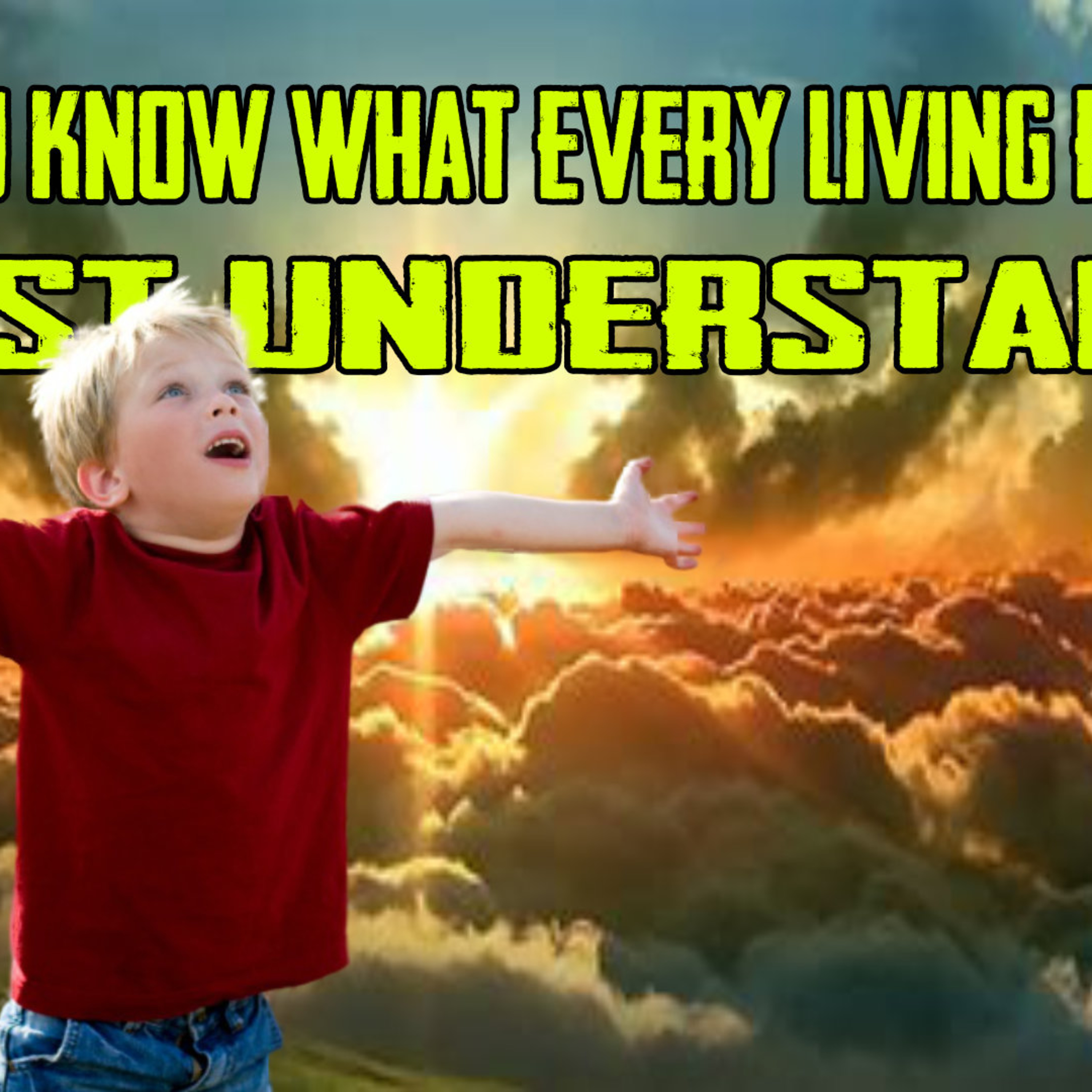 'Do You Know What Every Living Person MUST Understand? episode artwork