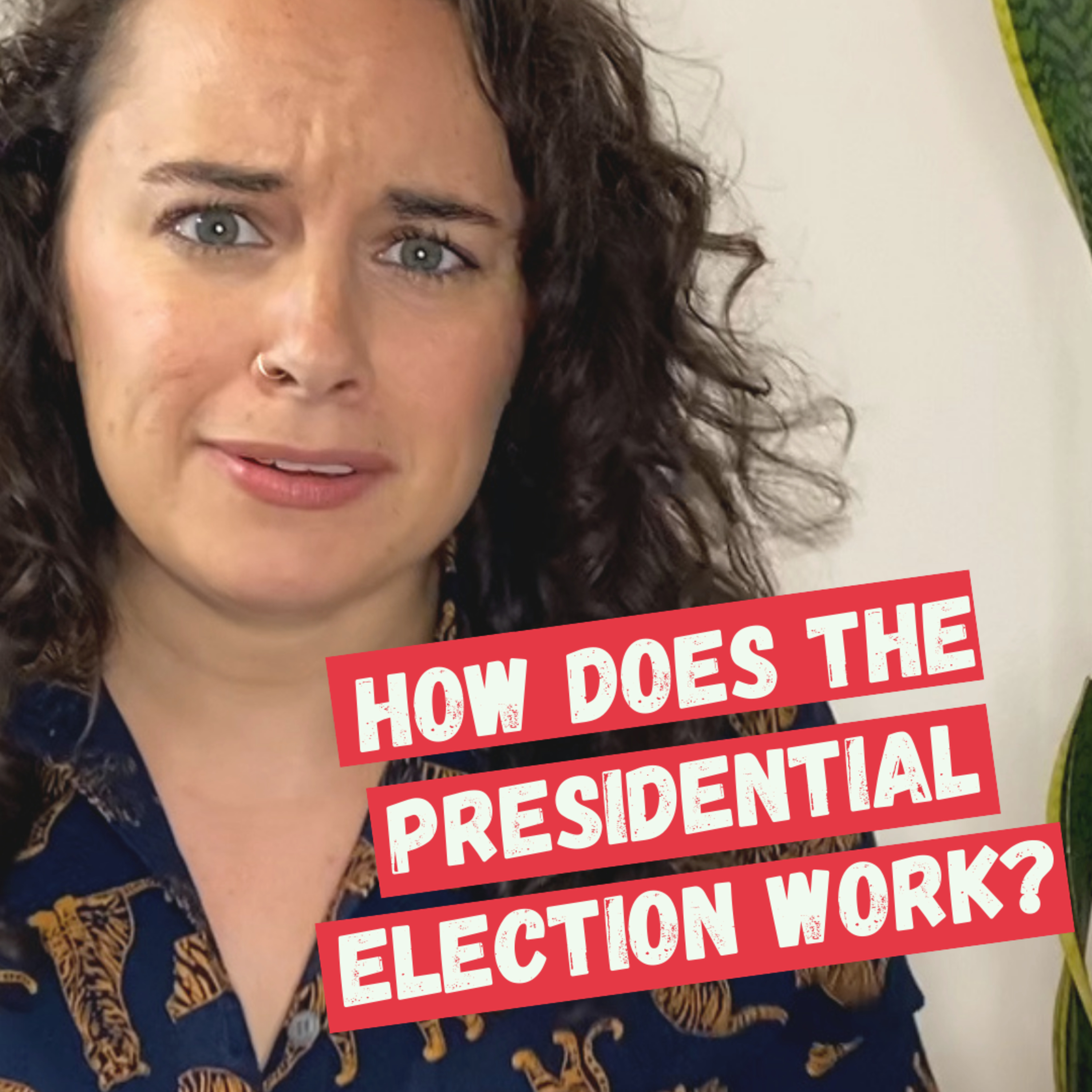 How Does the Presidential Election Work?