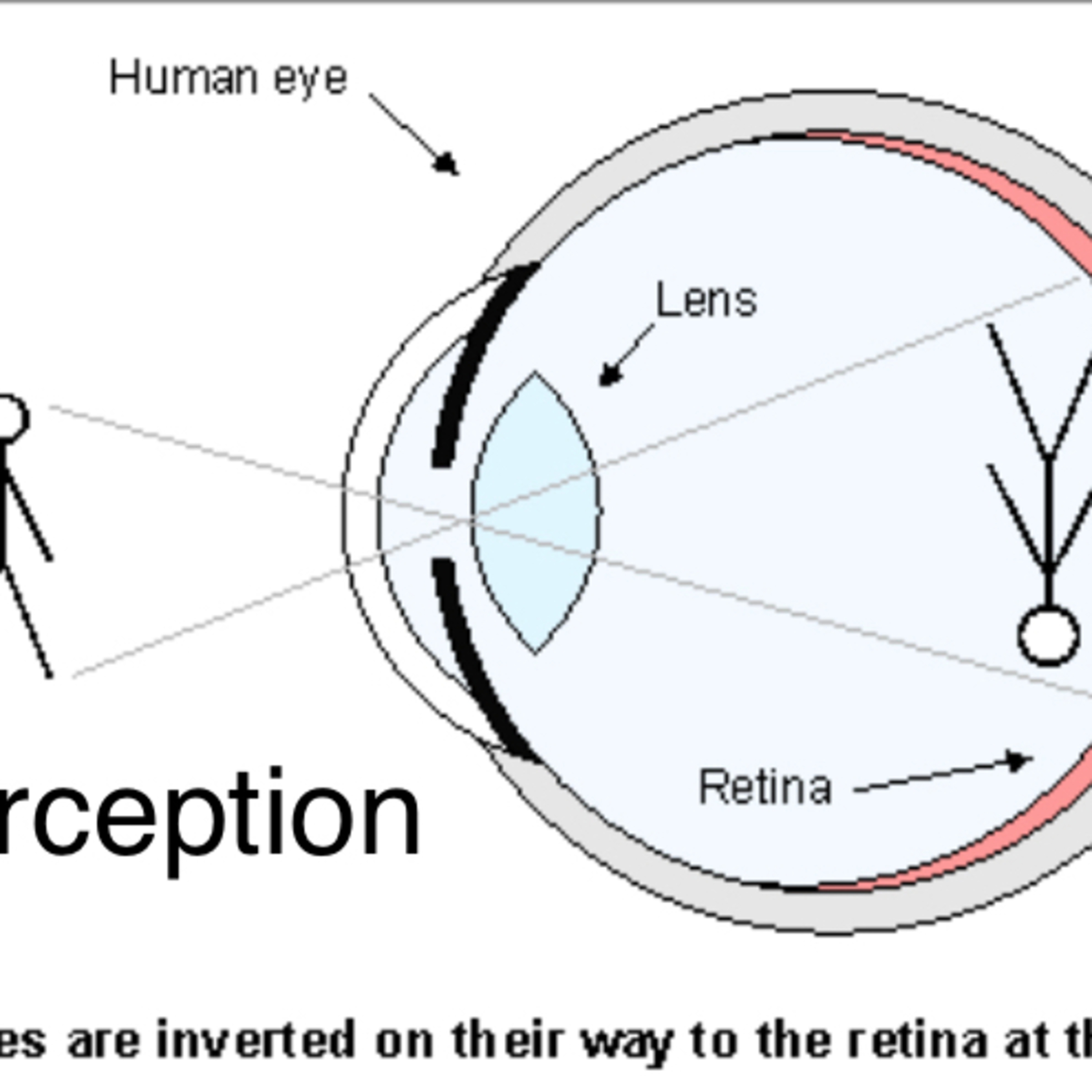 #untaughthought perceptions are always different  episode artwork