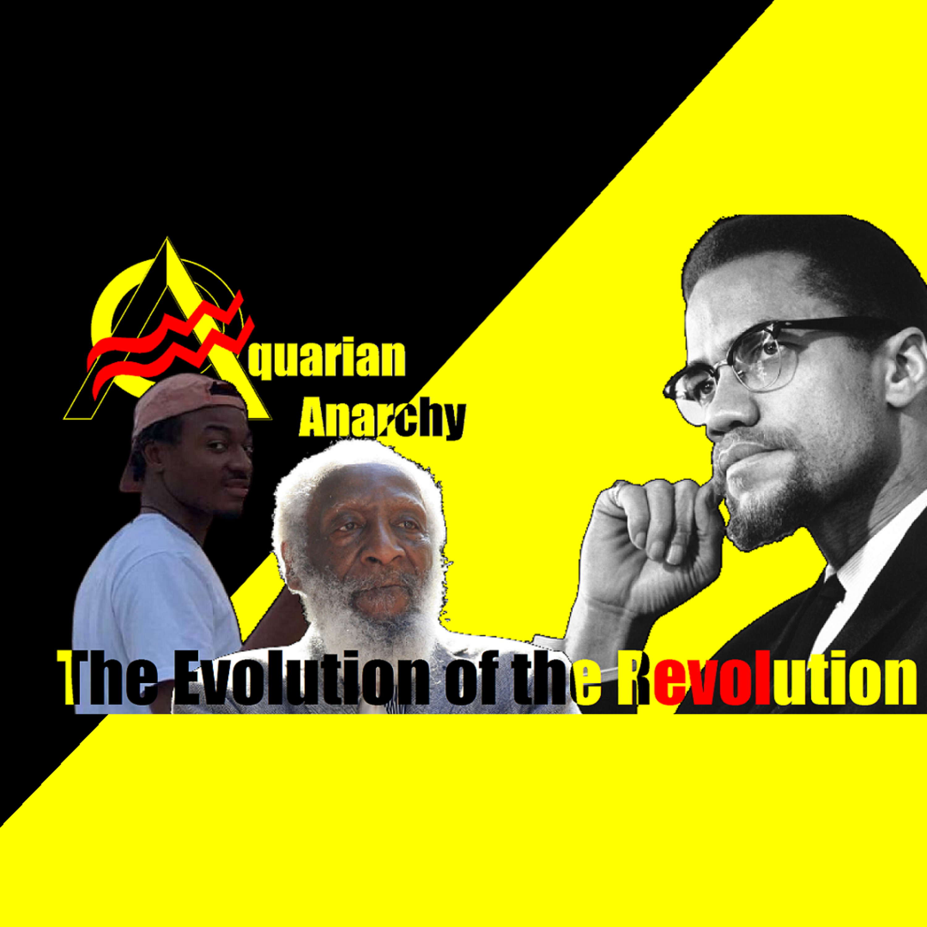 Aquarian Anarchy