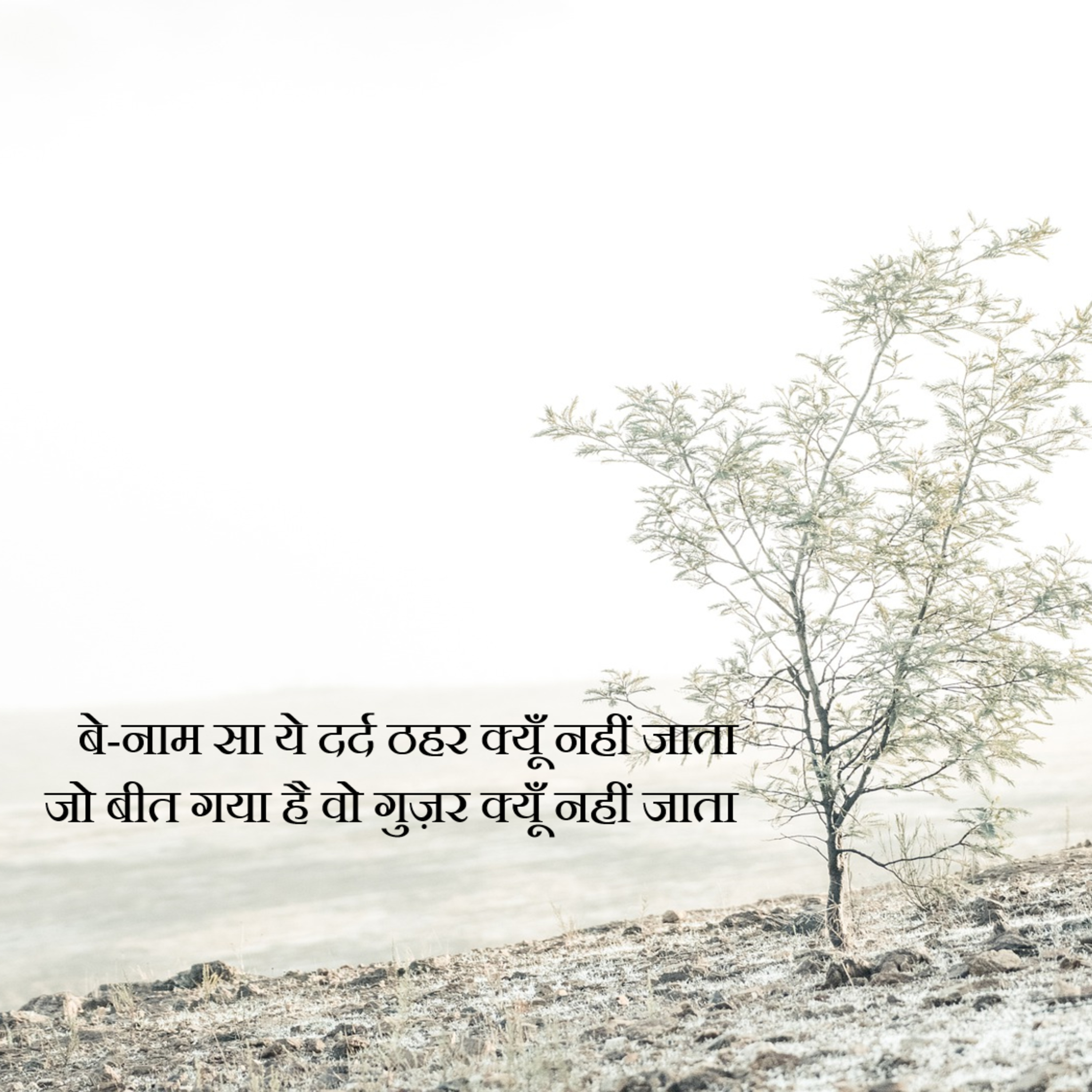 Koi Mere Dil Se Poochey