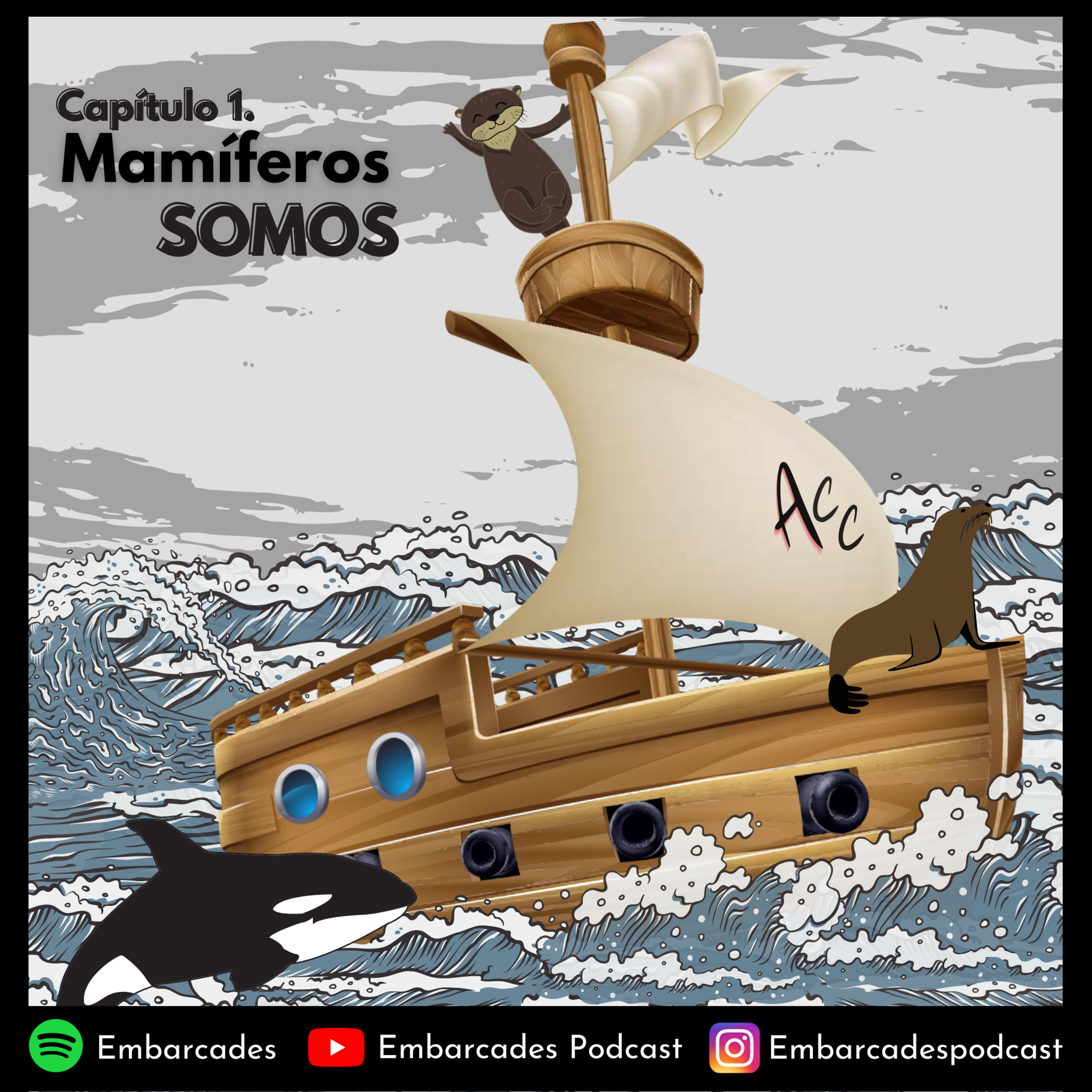 T1 E1- Mamíferos somos