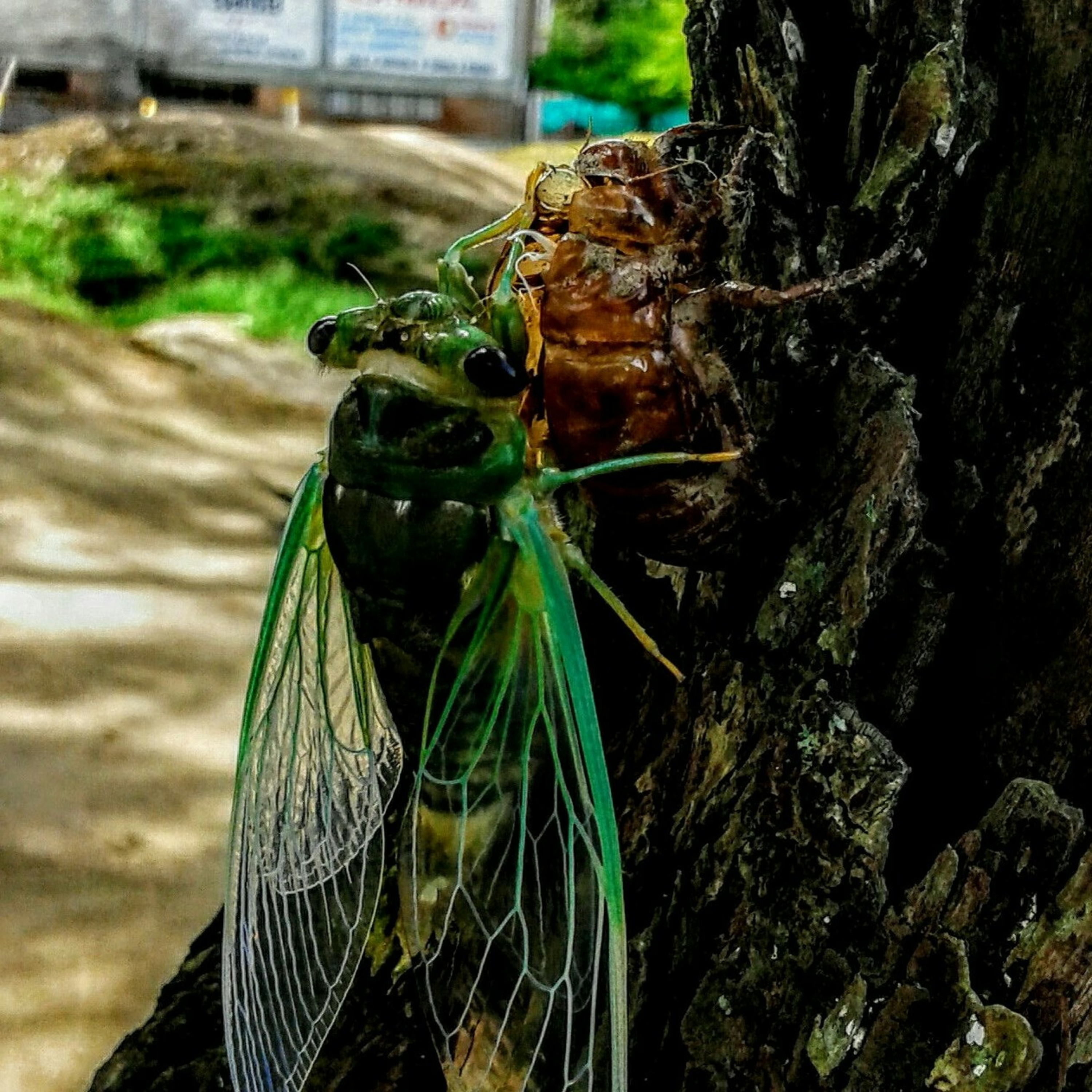 Environment.