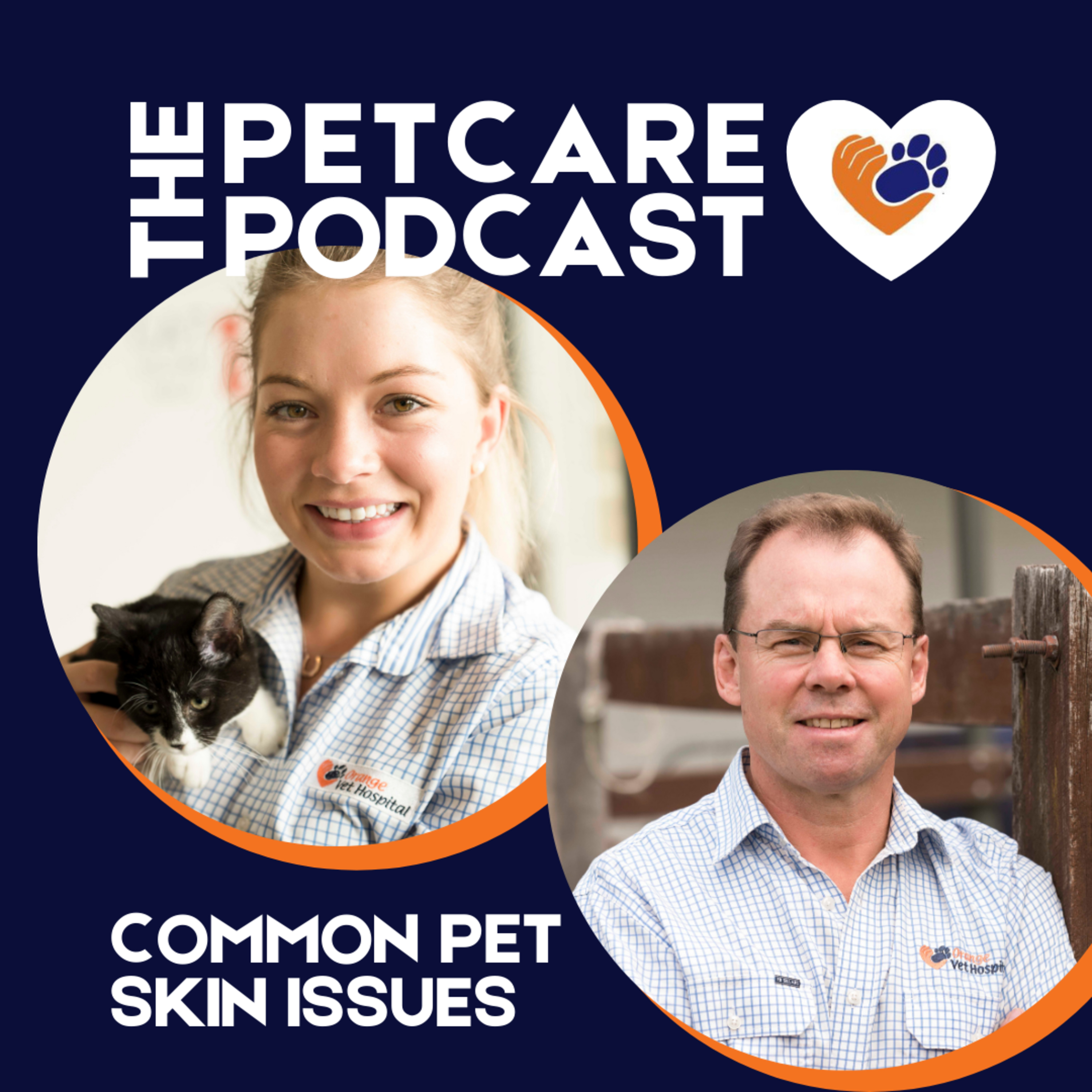 Don't Google it! Common skin issues, puppy preschool tips and meet vet Andrew Litchfield episode artwork