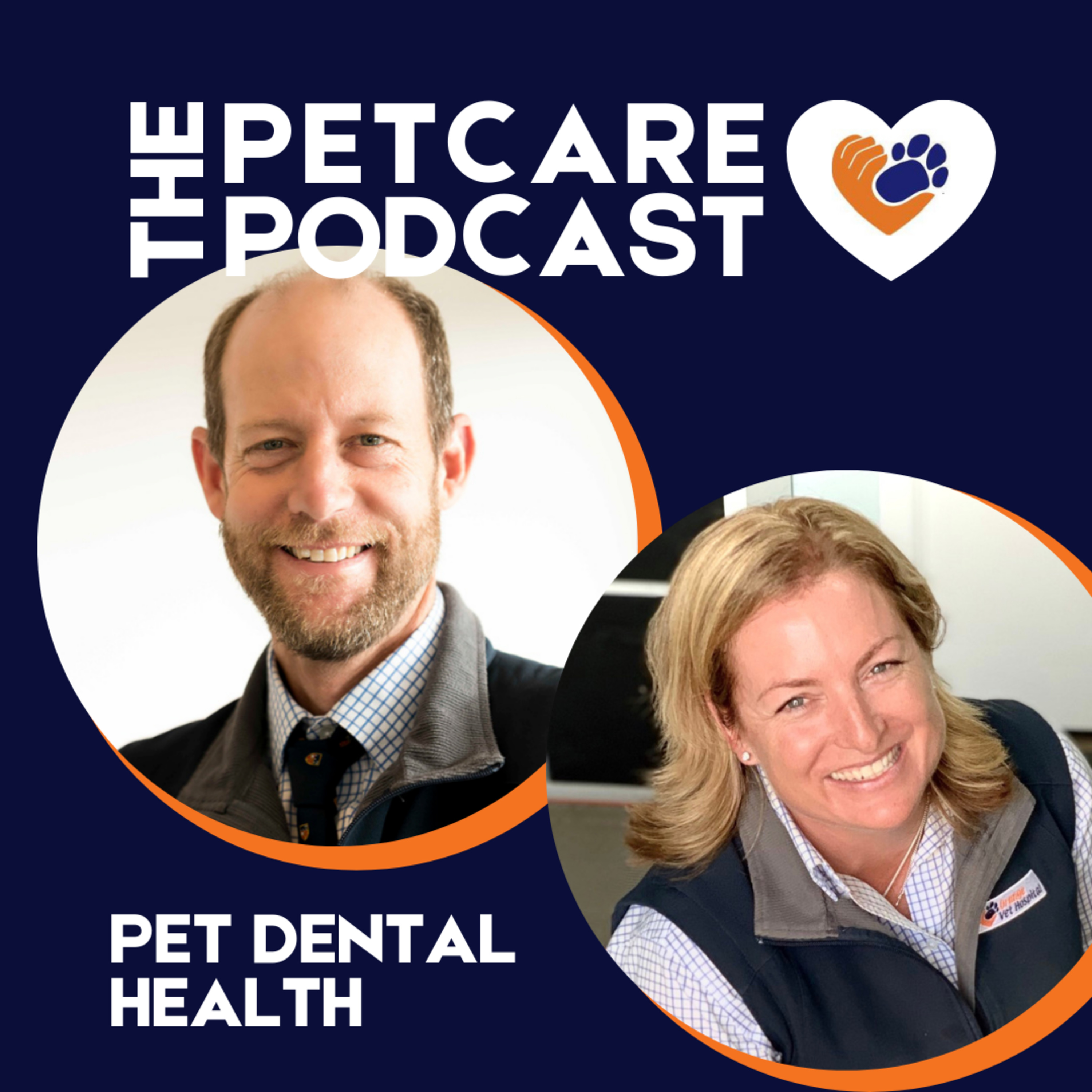 Pet dental health, rehabilitation after surgery and how to manage separation anxiety episode artwork