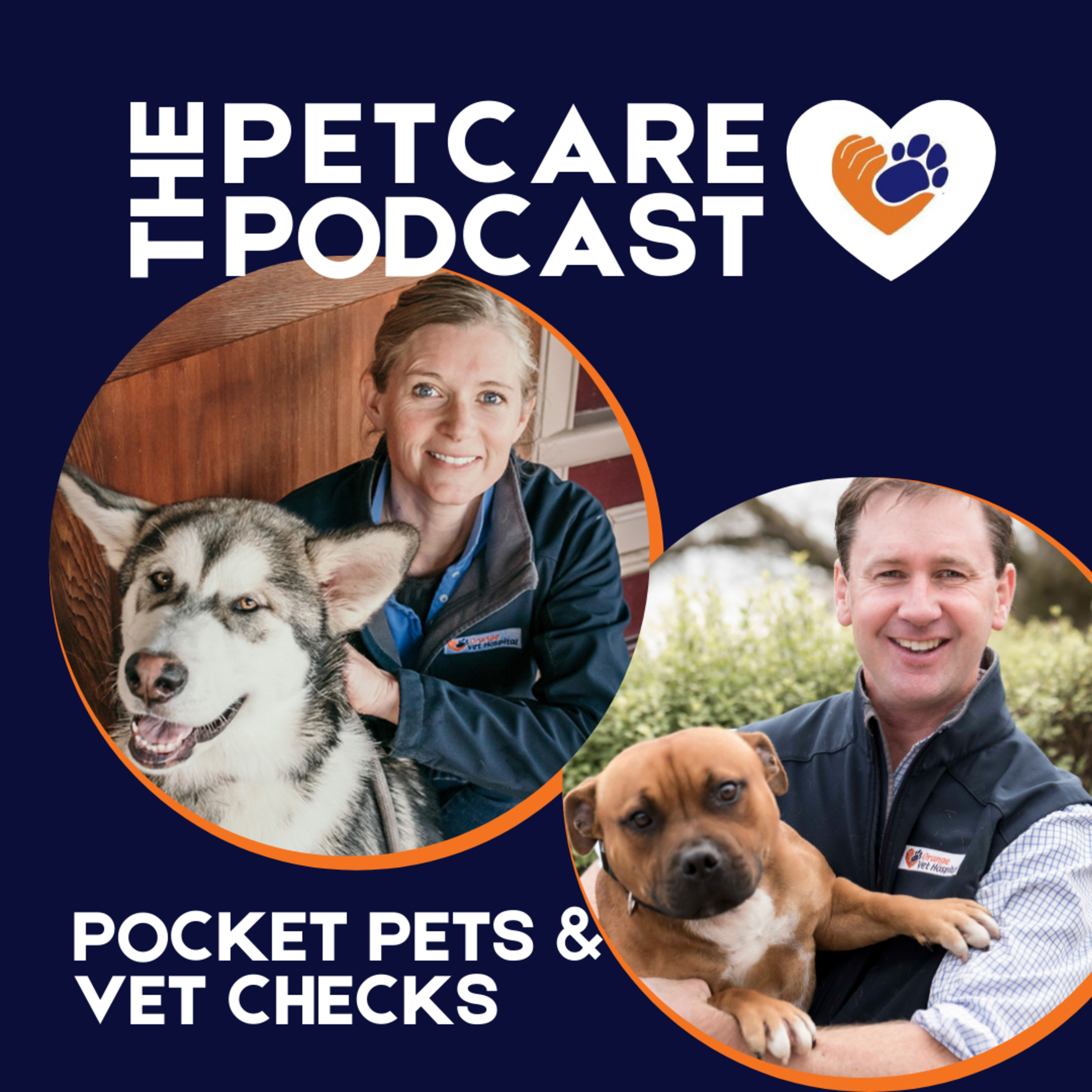 Pocket Pets and Vet Checks episode artwork