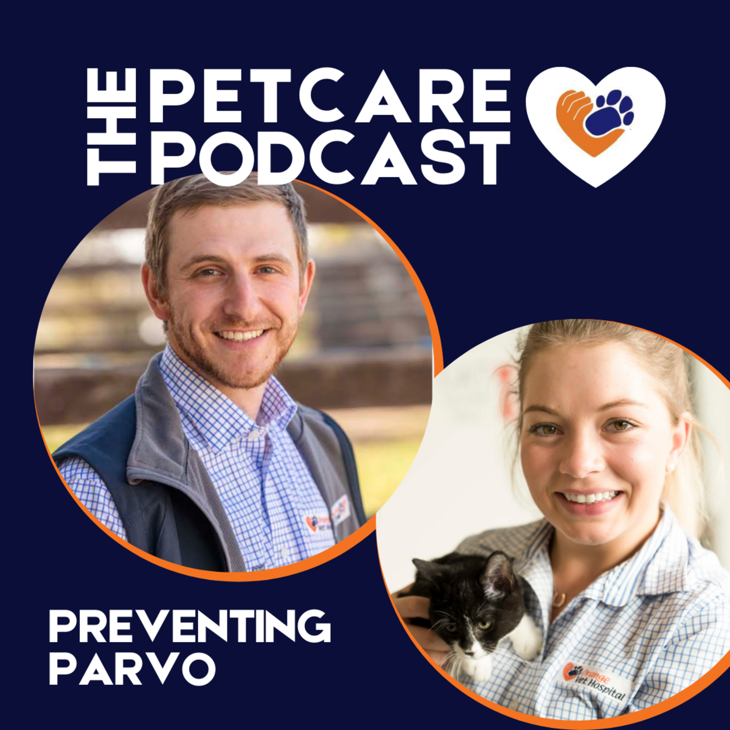 Dog Owners Beware - Parvovirus  episode artwork