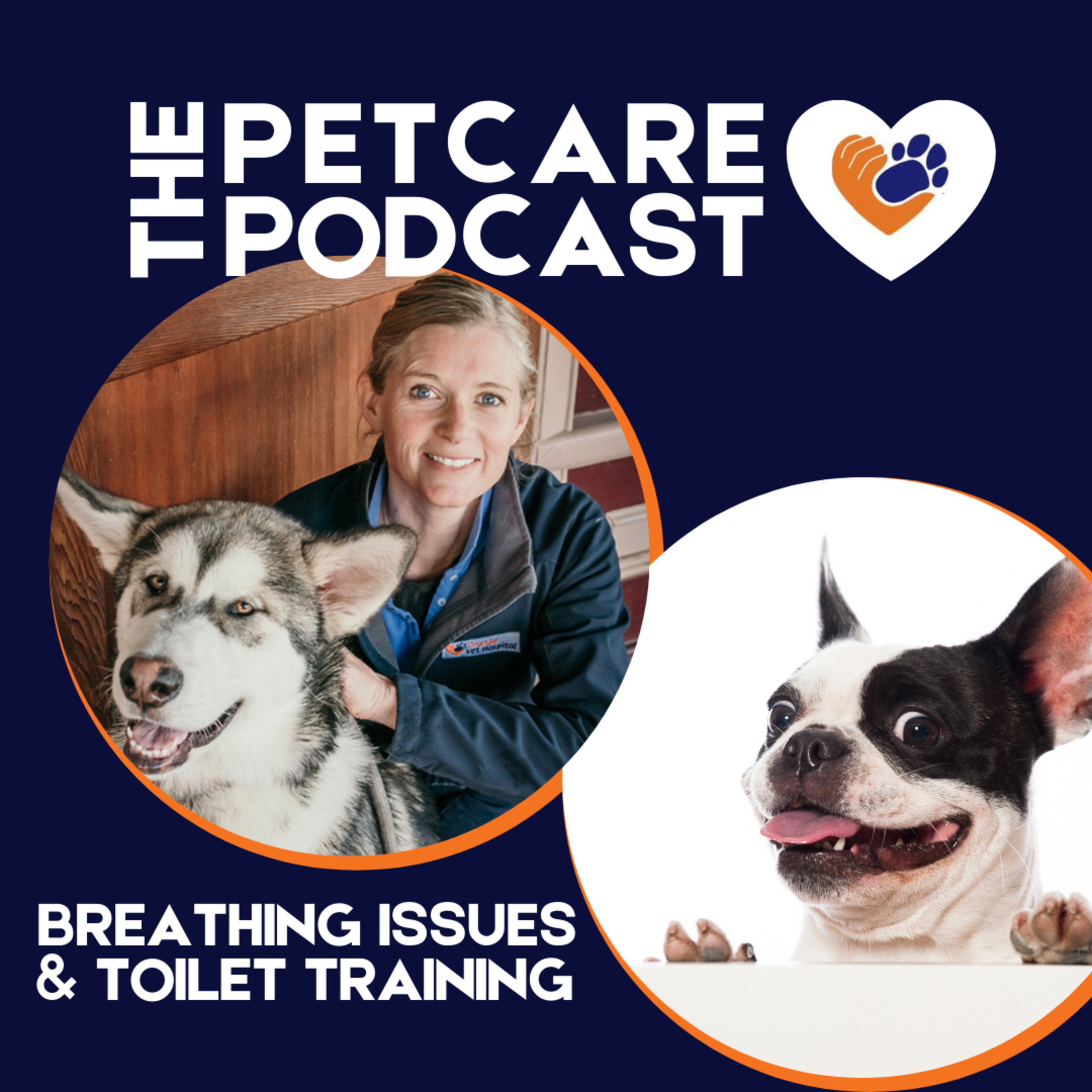 Breathing Issues and Toilet Training episode artwork