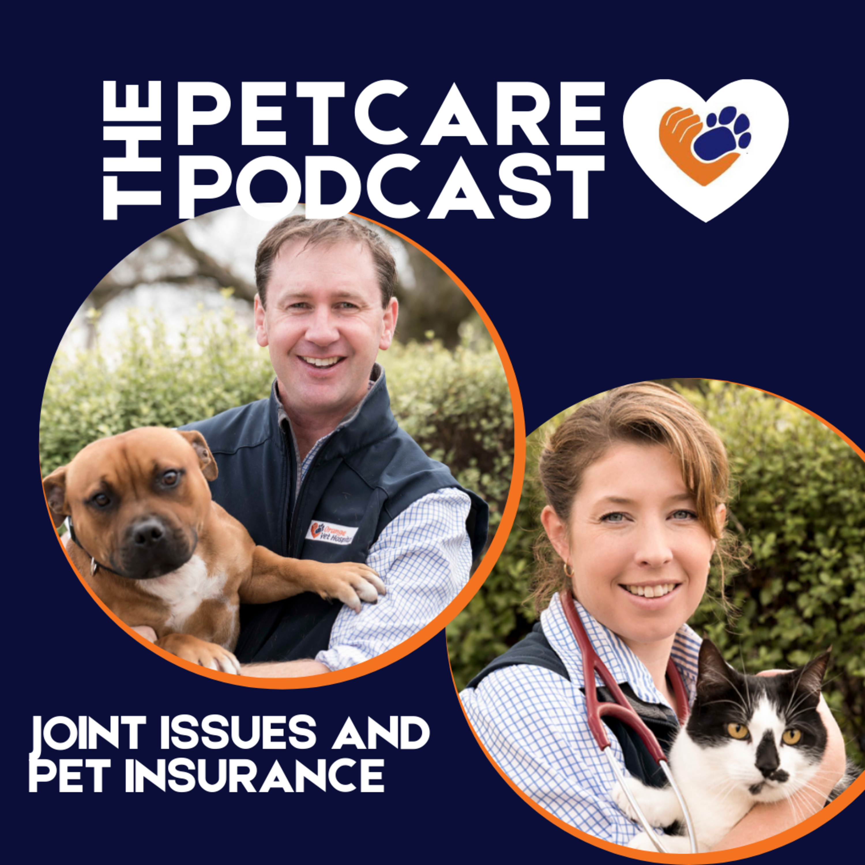 Rescuing wildlife, pet insurance and puppy training episode artwork