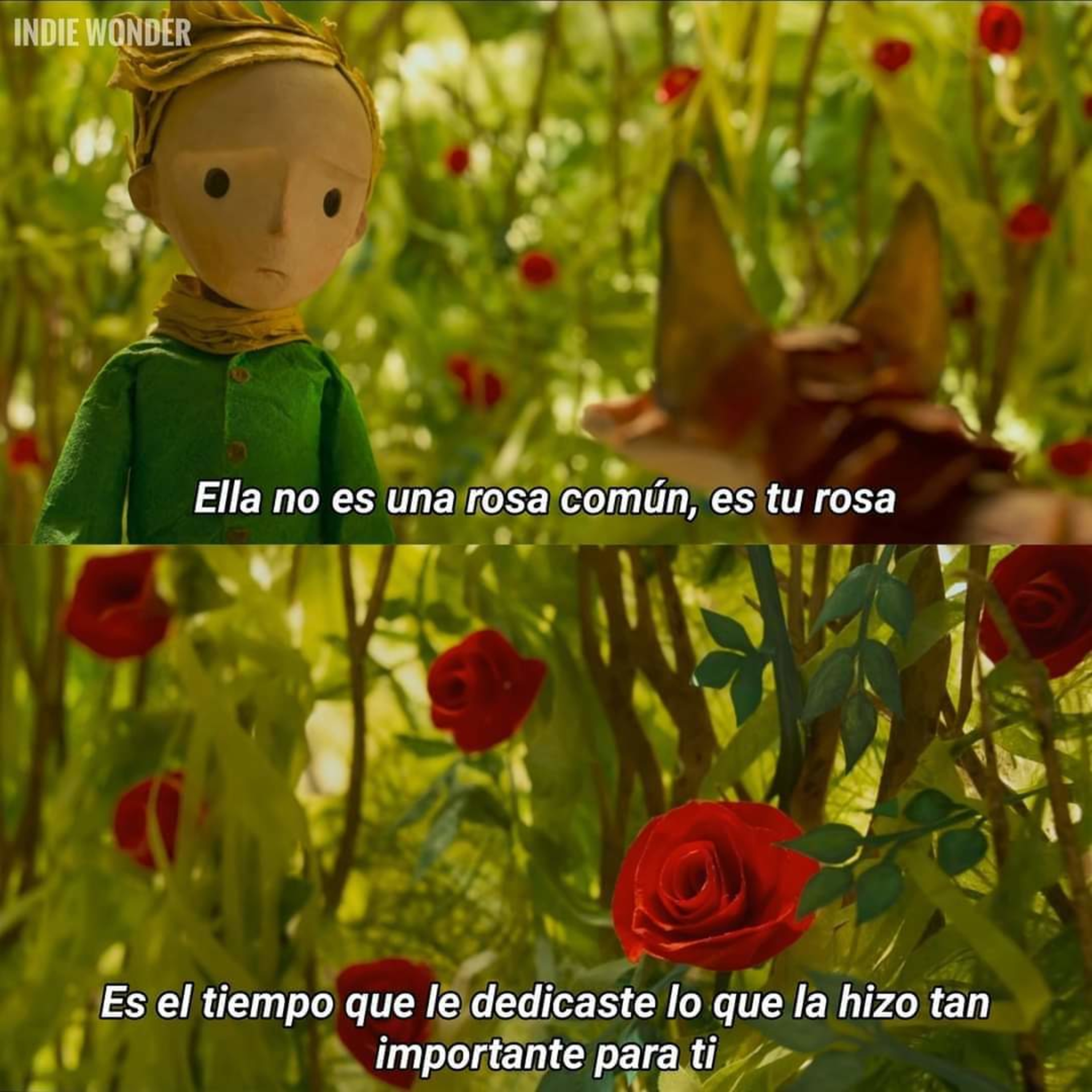 "Es todo o nada"  episode artwork