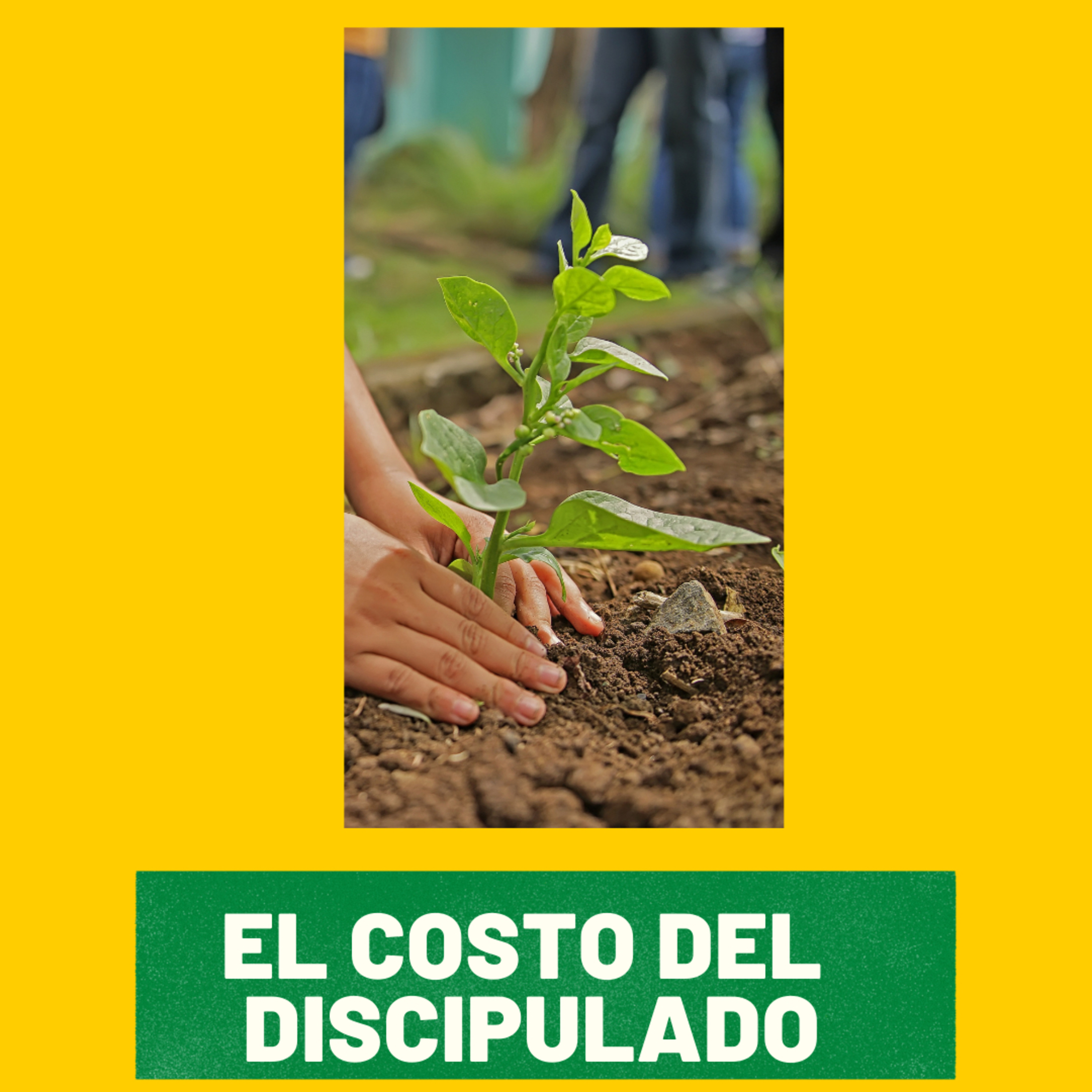 Estudos bíblicos em podcast