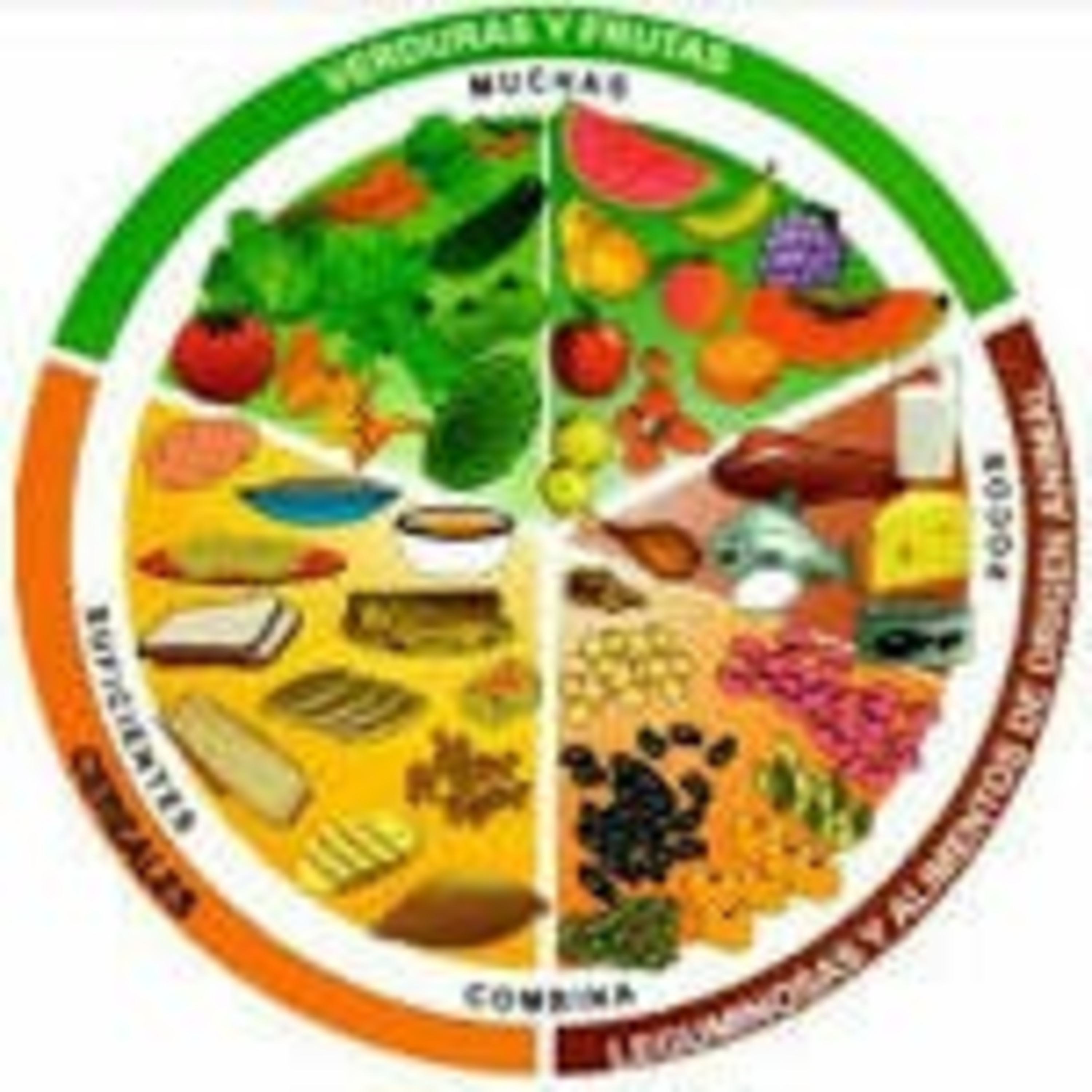 Clasificación de los alimentos y para que nos sirve identificados