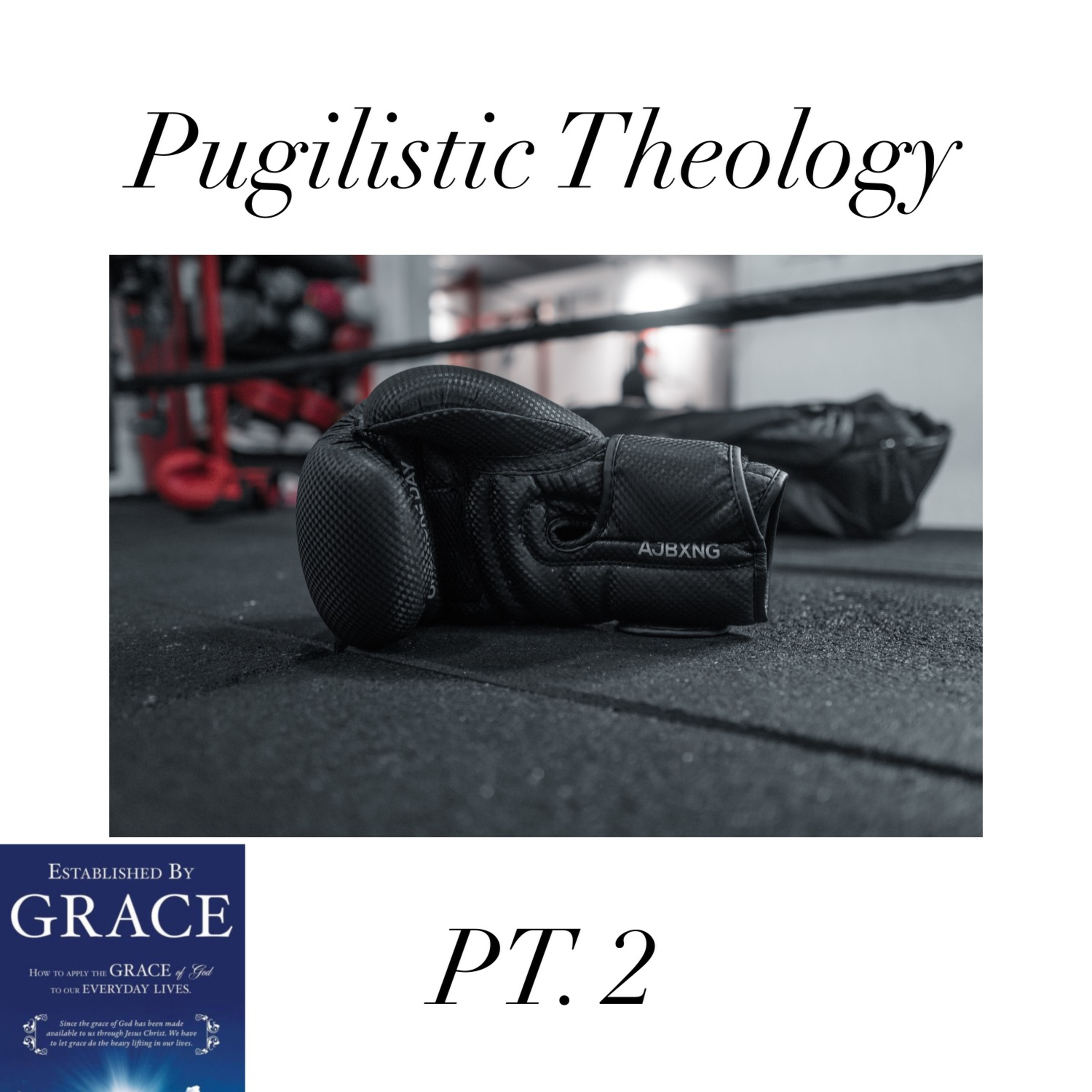 Episode 16: "Pugilistic Theology Pt. 2"